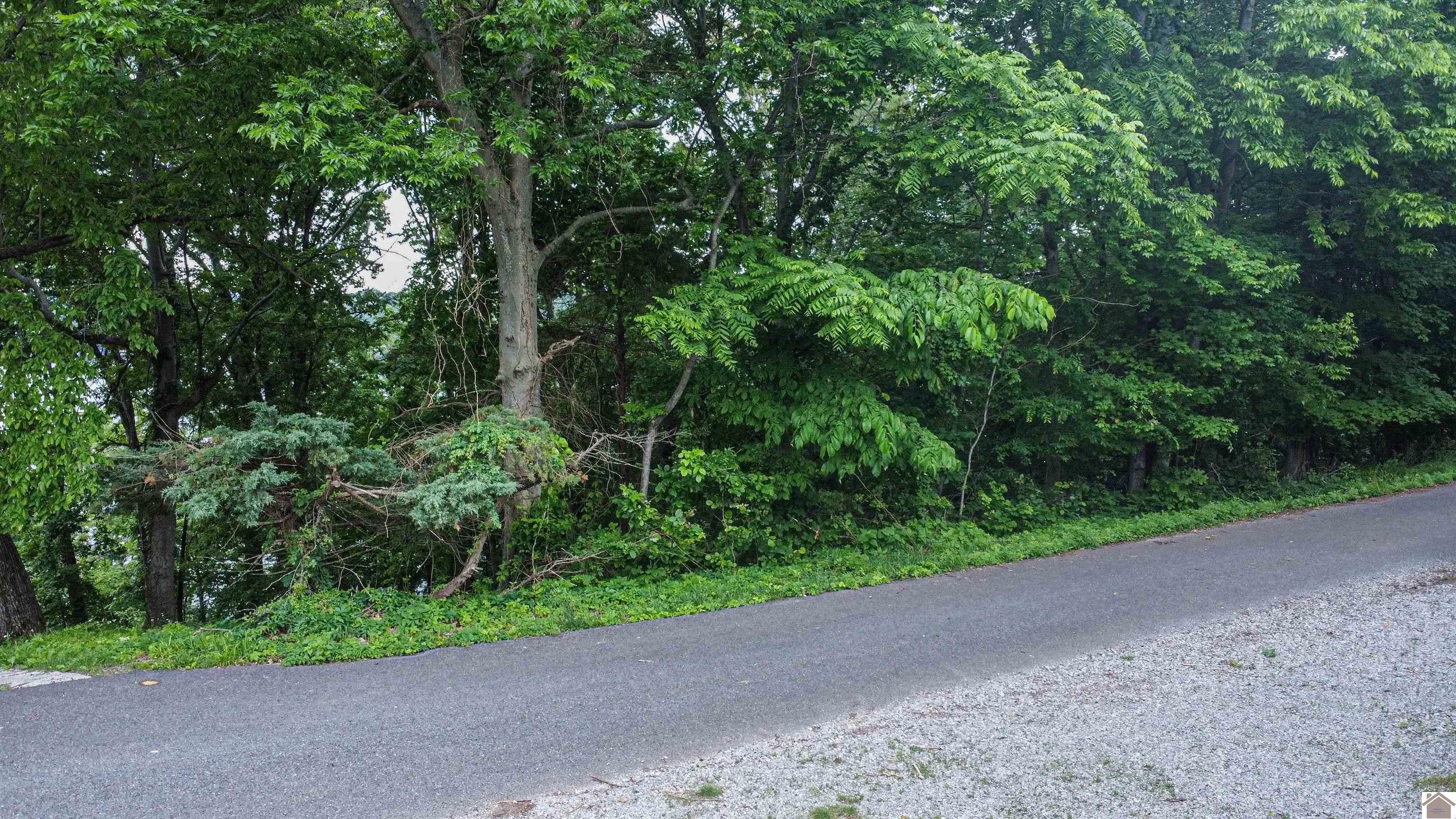 Lot 6 & 7 Palisades Subdivision Property Photo 33