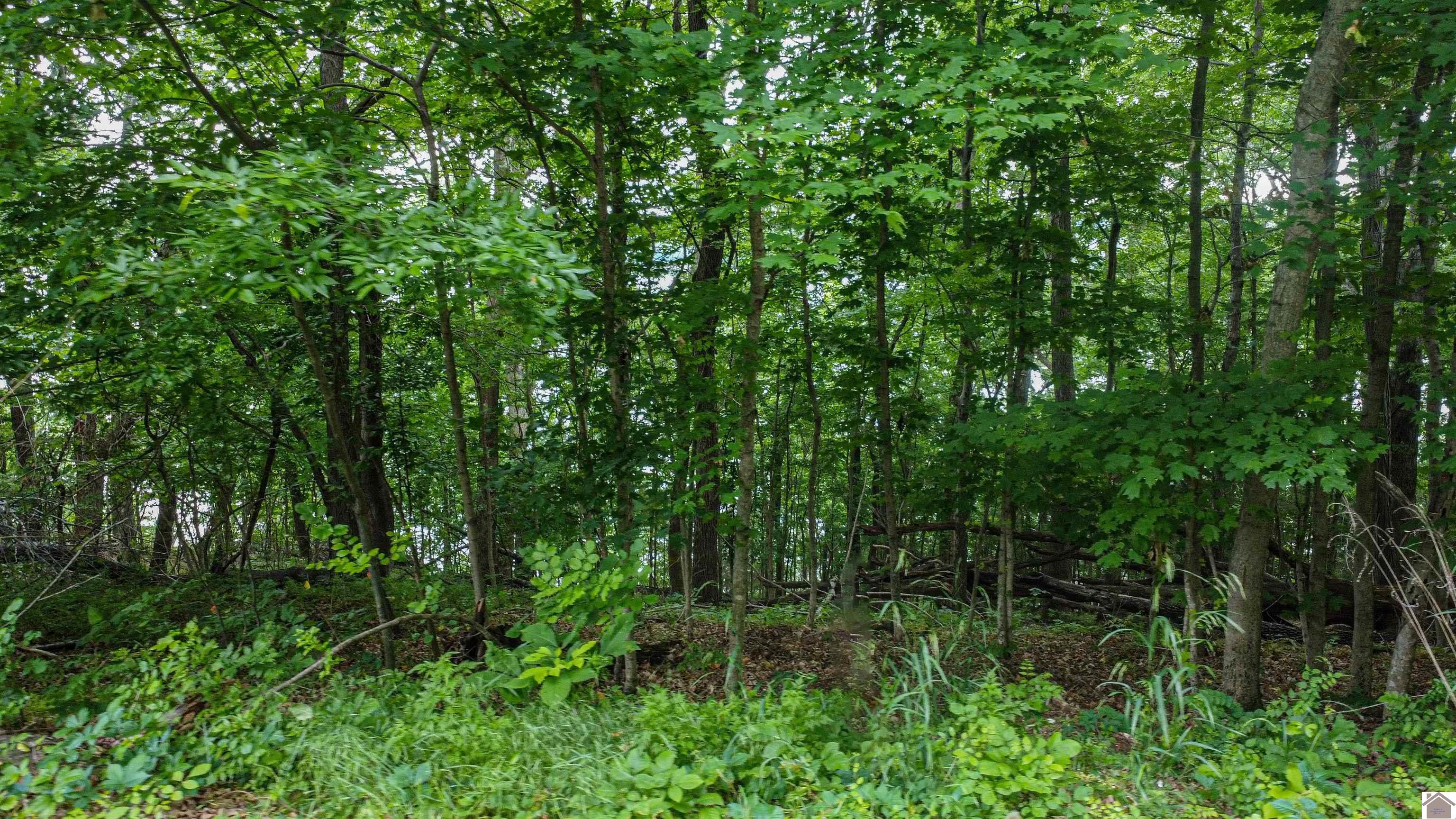 Lot 6 & 7 Palisades Subdivision Property Photo 34