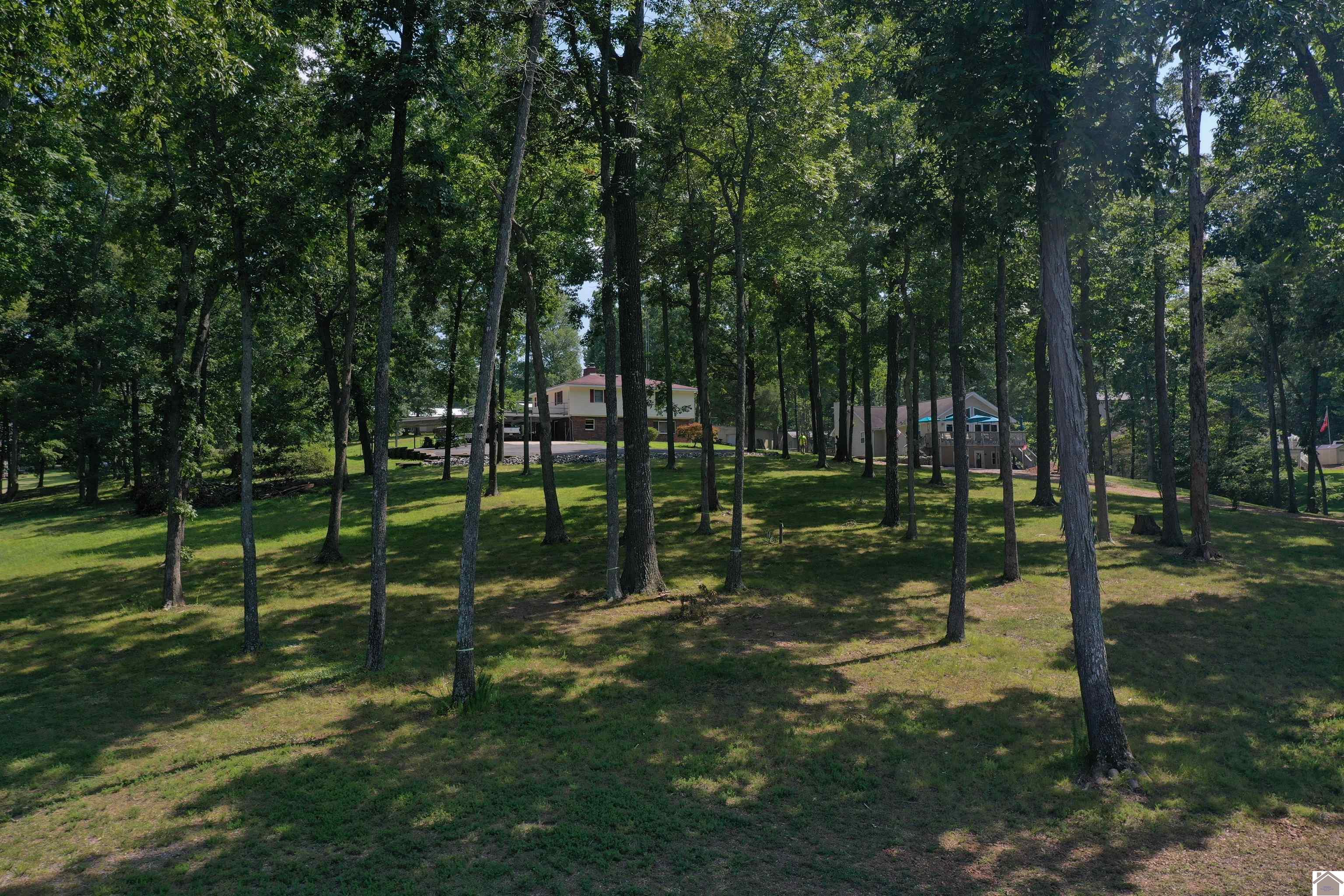 214 Hickory Hill Lane Property Photo 8