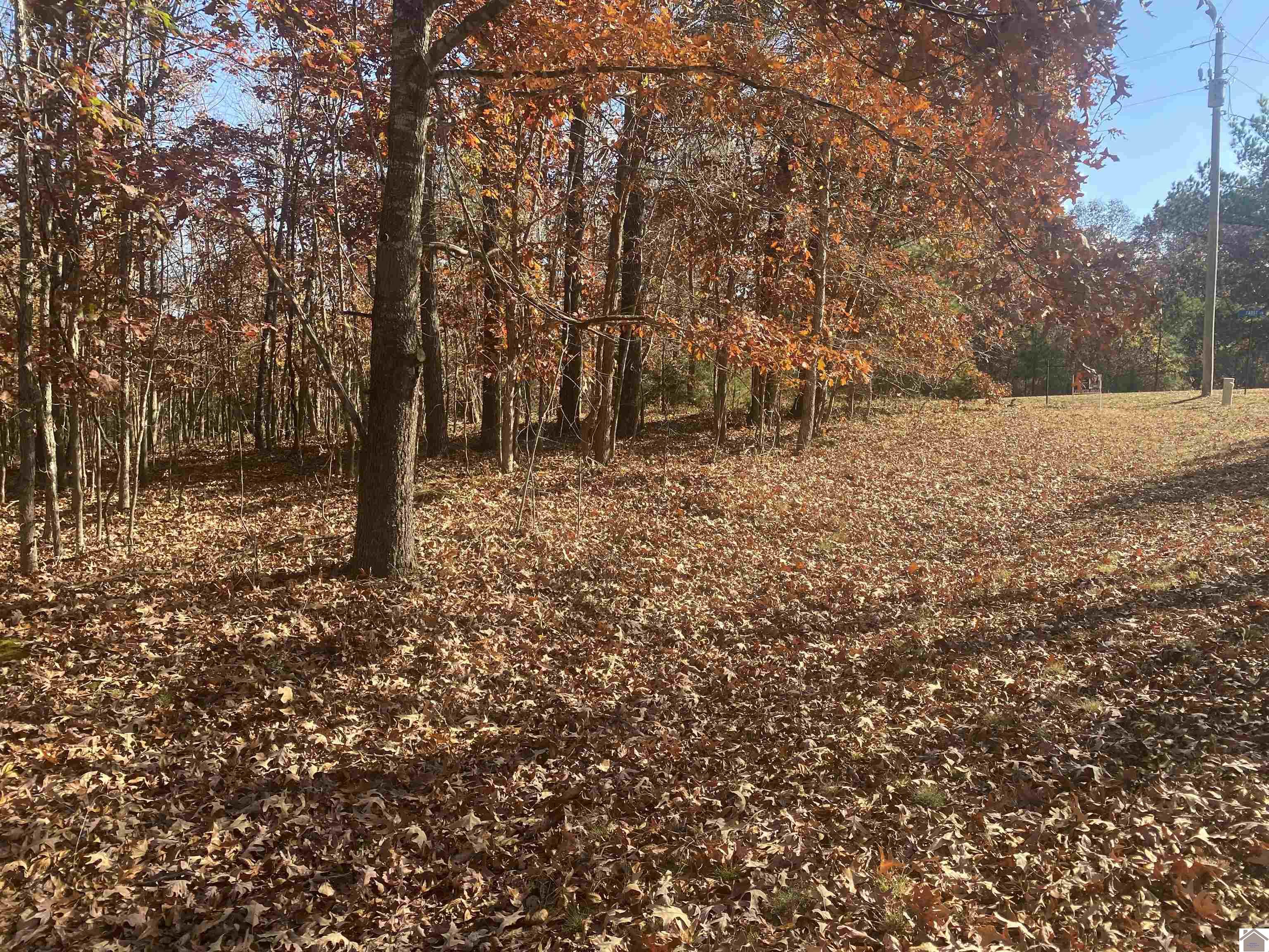 000 Faust Road Property Photo 1