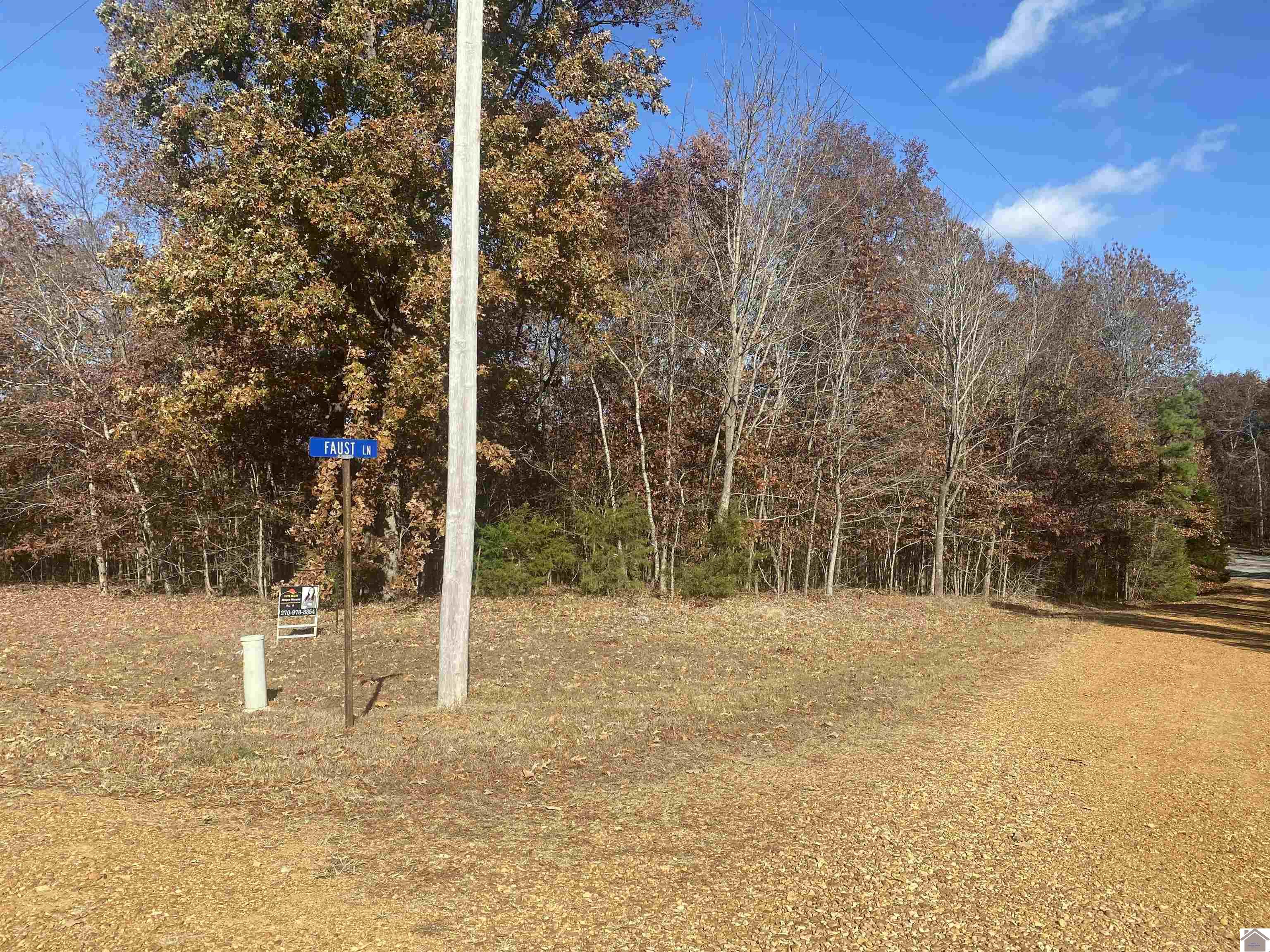 000 Faust Road Property Photo 4