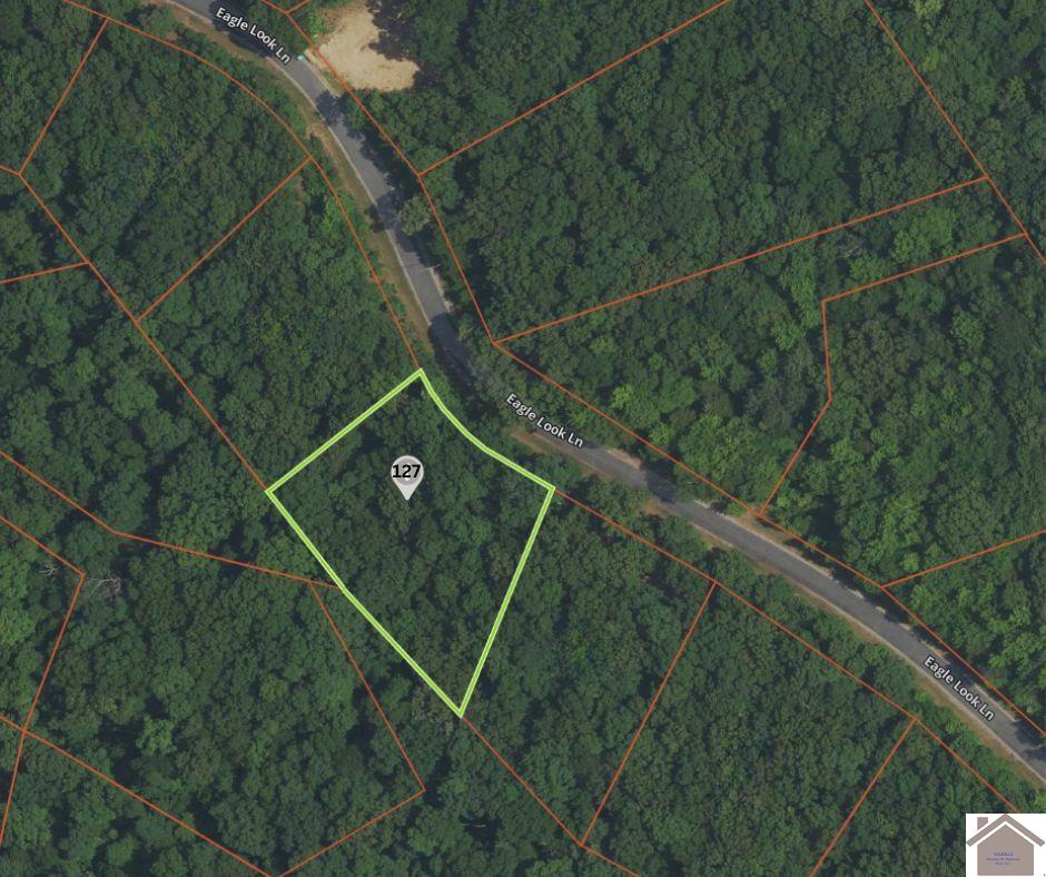 127 Eagle Look Lane Property Photo 1