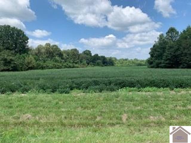 8445 Old Highway 60 West Property Photo 2