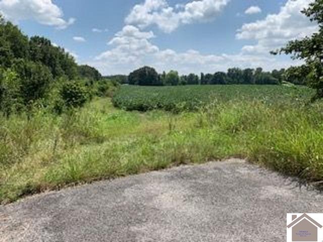 8445 Old Highway 60 West Property Photo 6