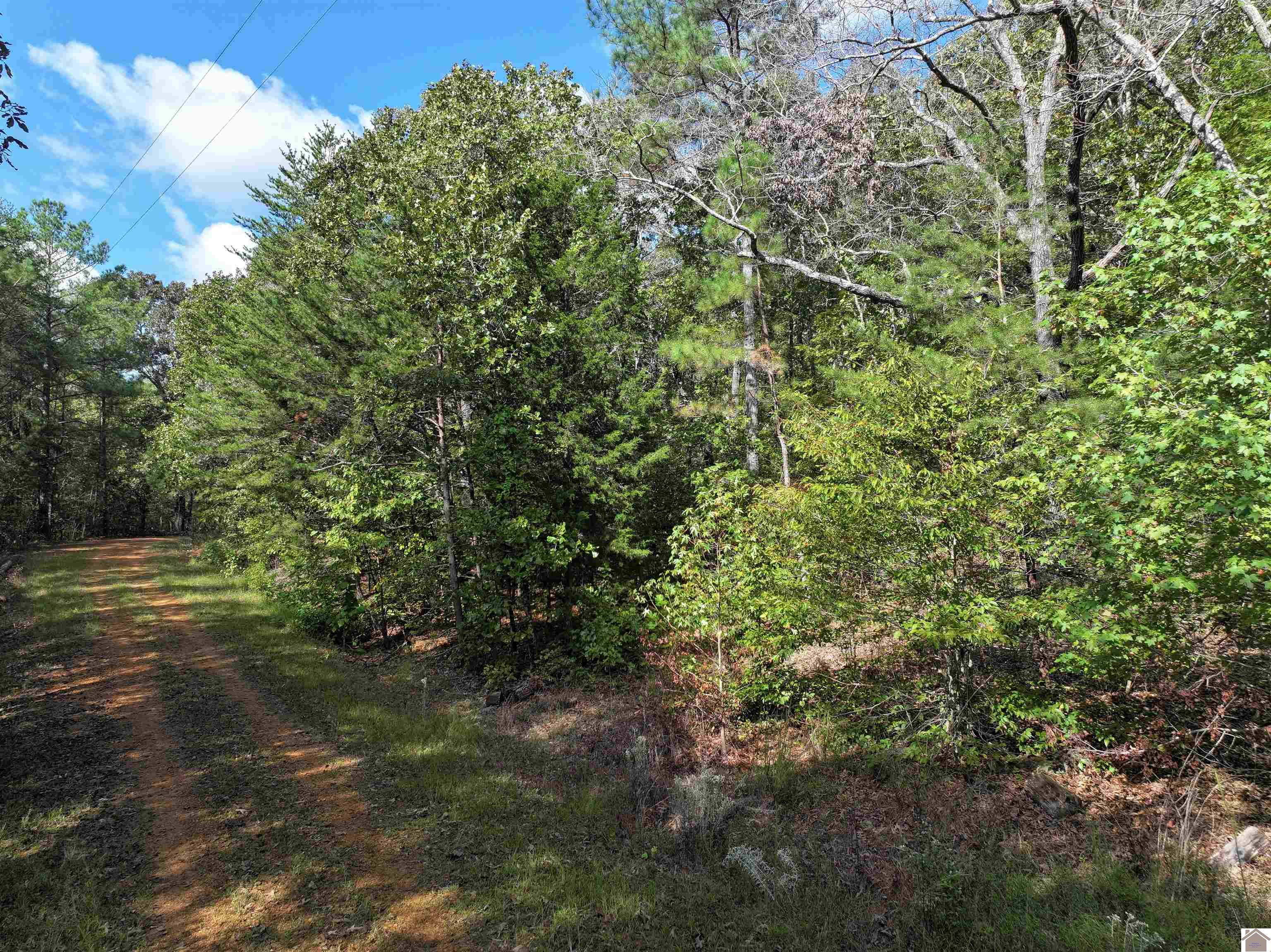 0 Smelser Dr Property Photo 1