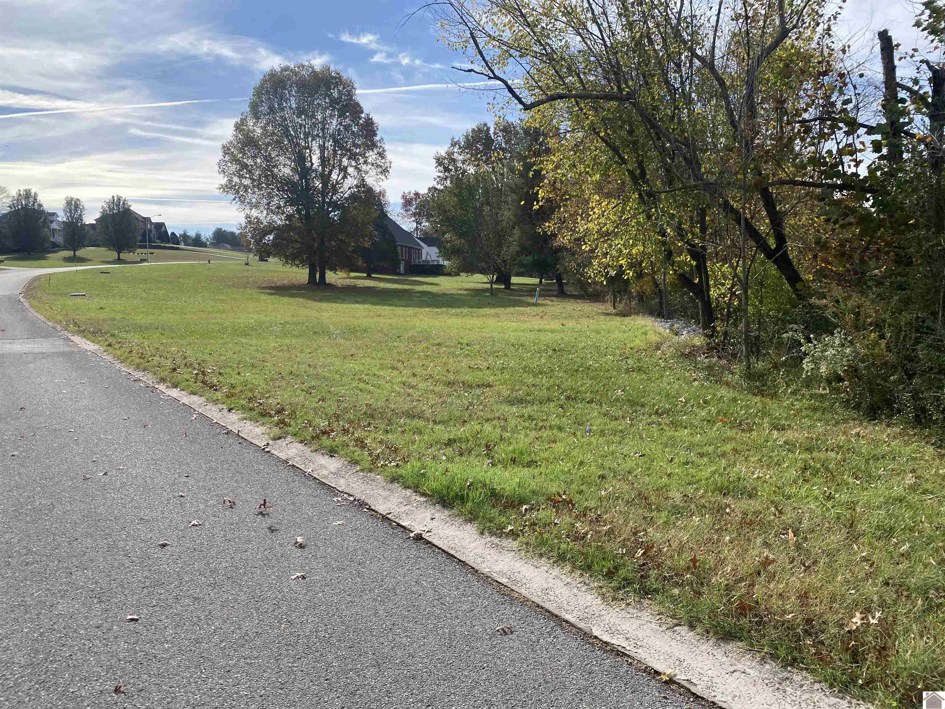 Lot 33 Woodtrace Subdivision Property Photo 2