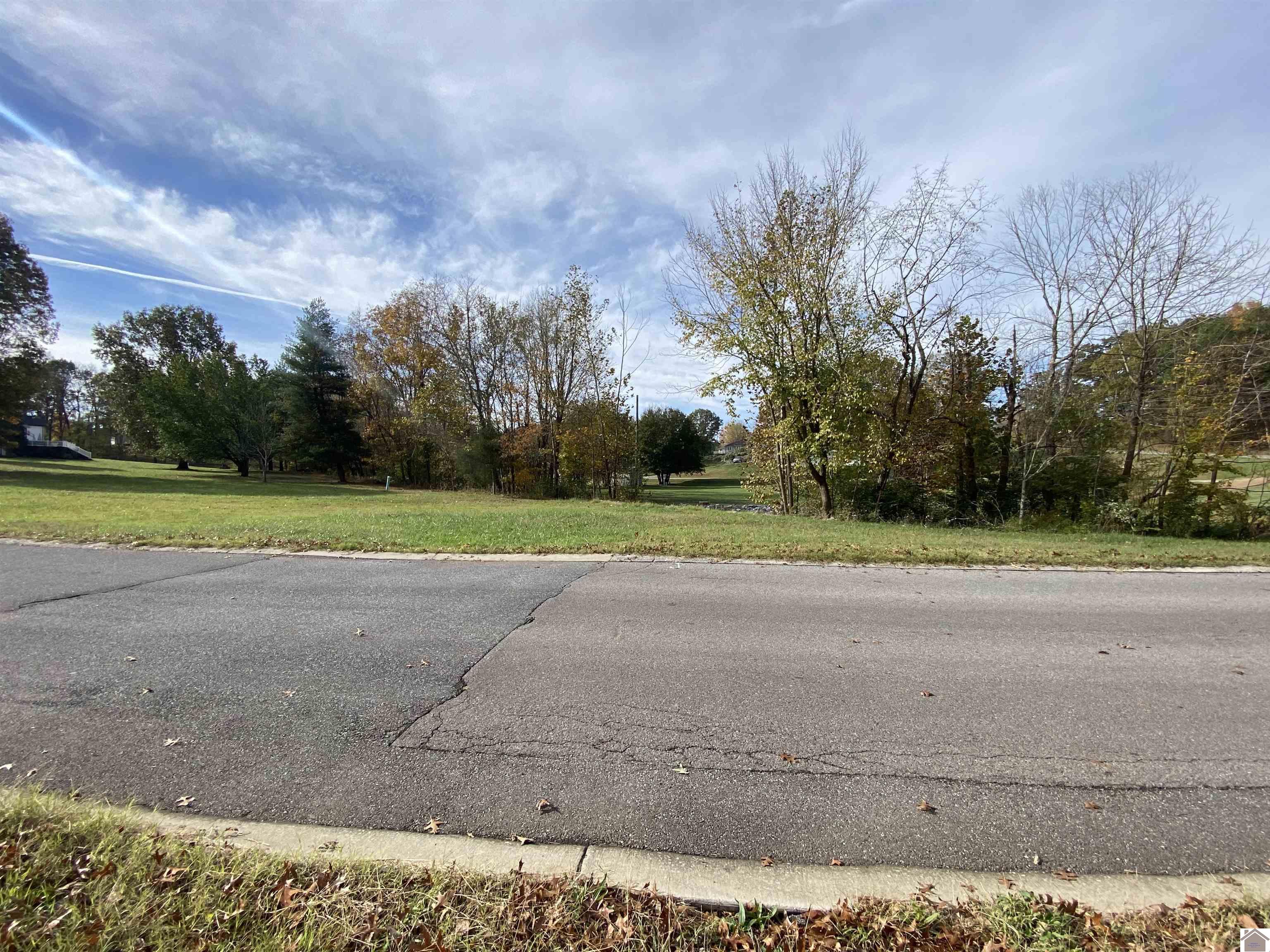 Lot 33 Woodtrace Subdivision Property Photo 4