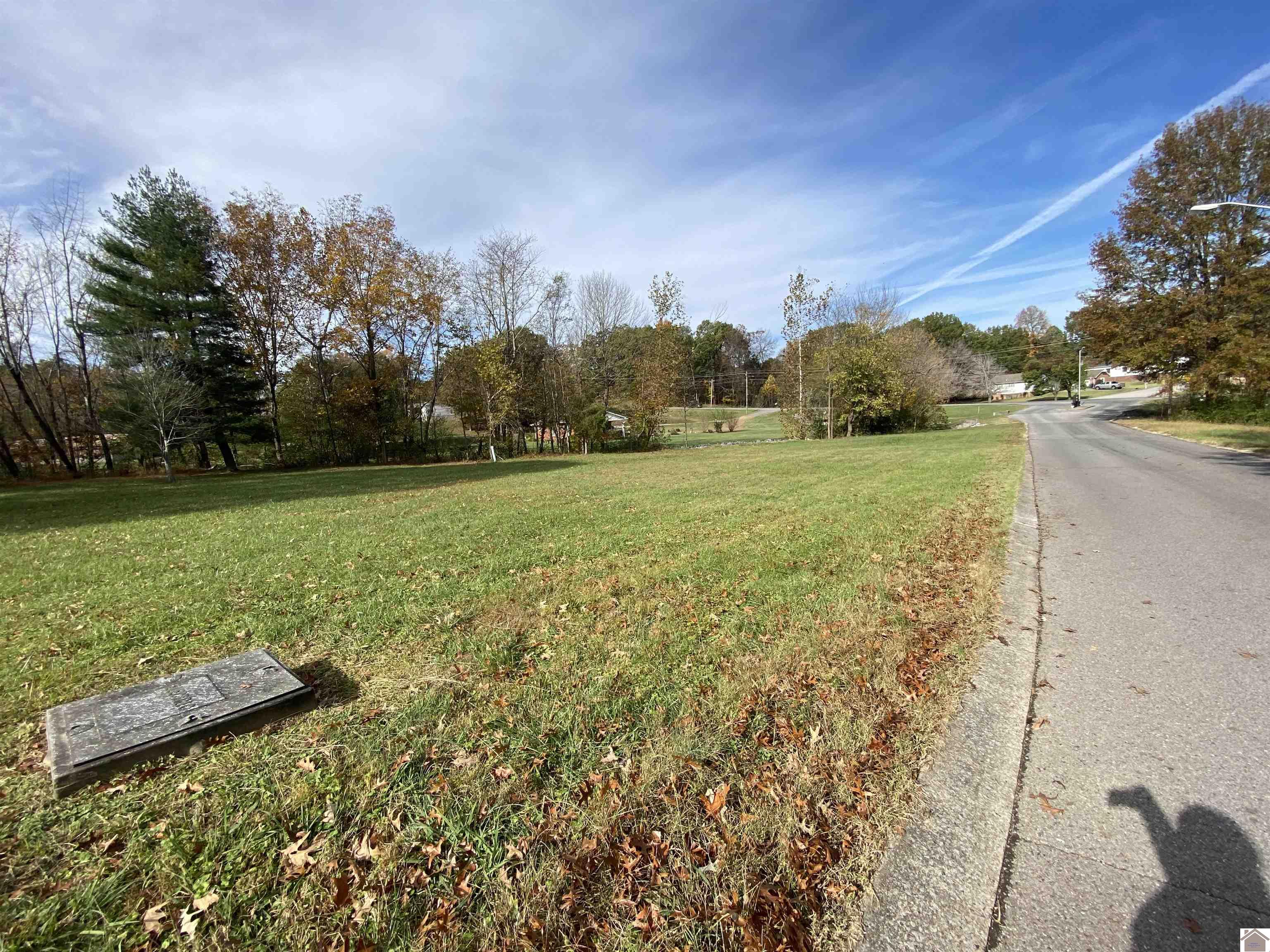 Lot 33 Woodtrace Subdivision Property Photo 10