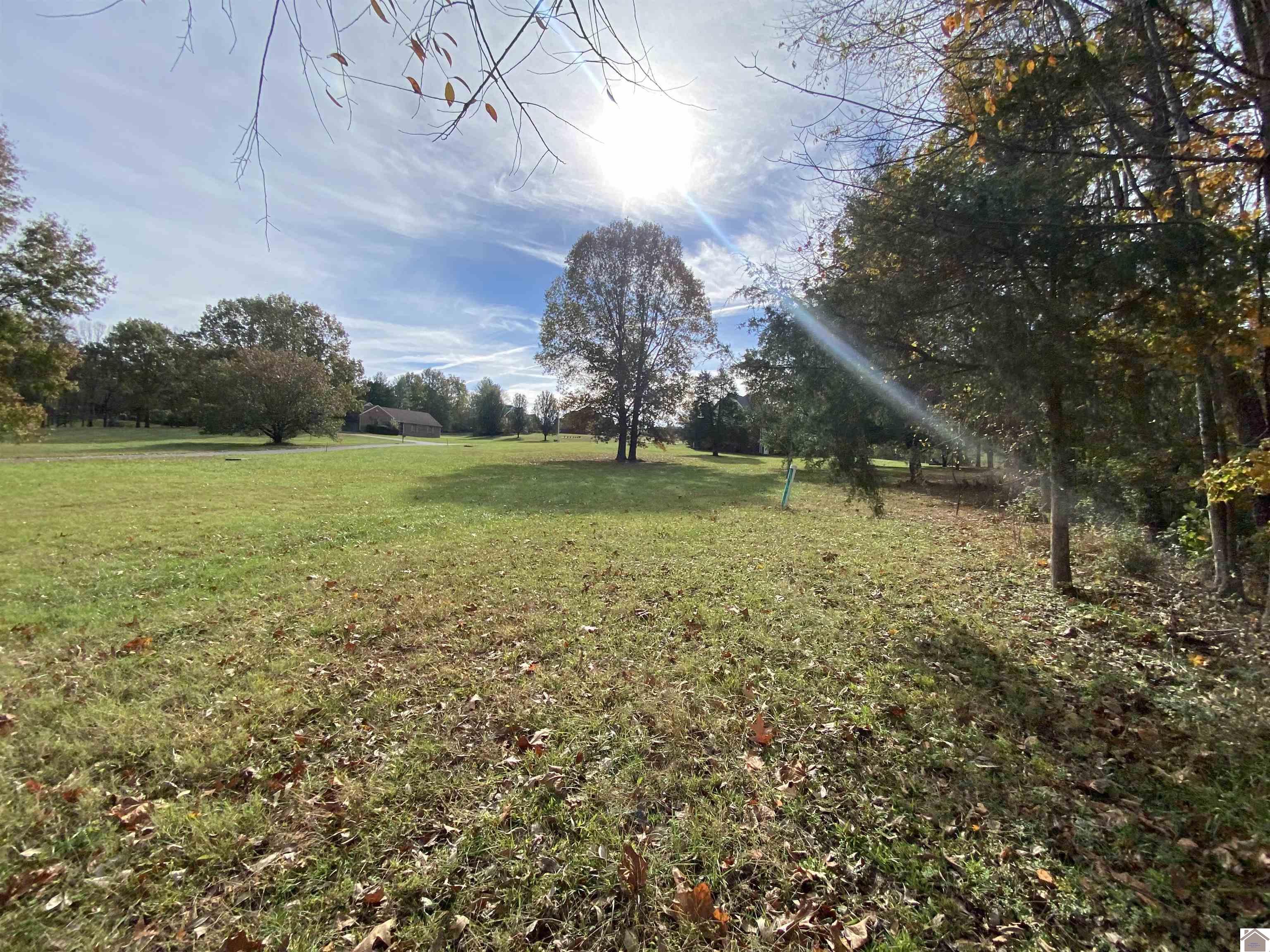 Lot 33 Woodtrace Subdivision Property Photo 18