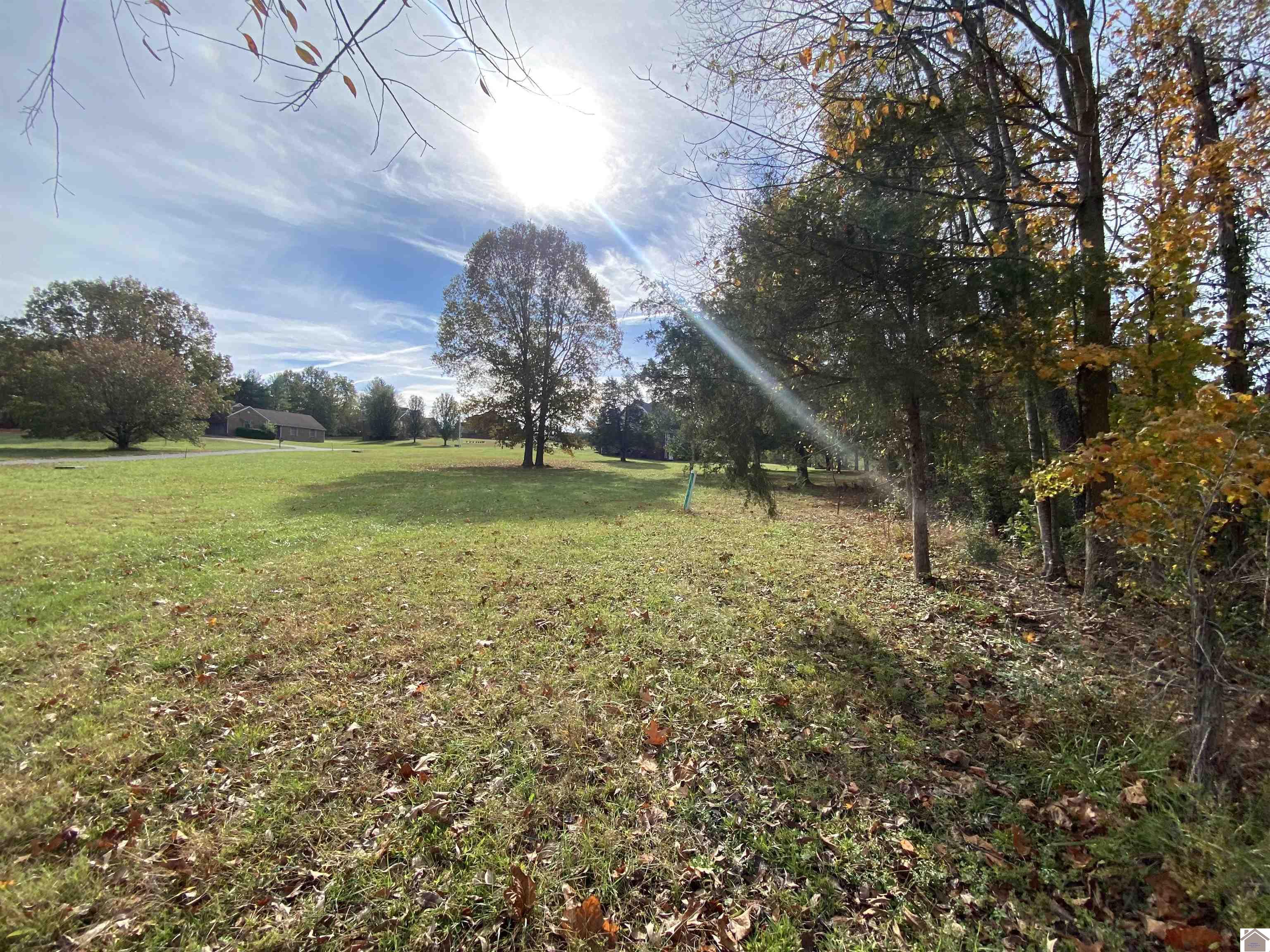 Lot 33 Woodtrace Subdivision Property Photo 19