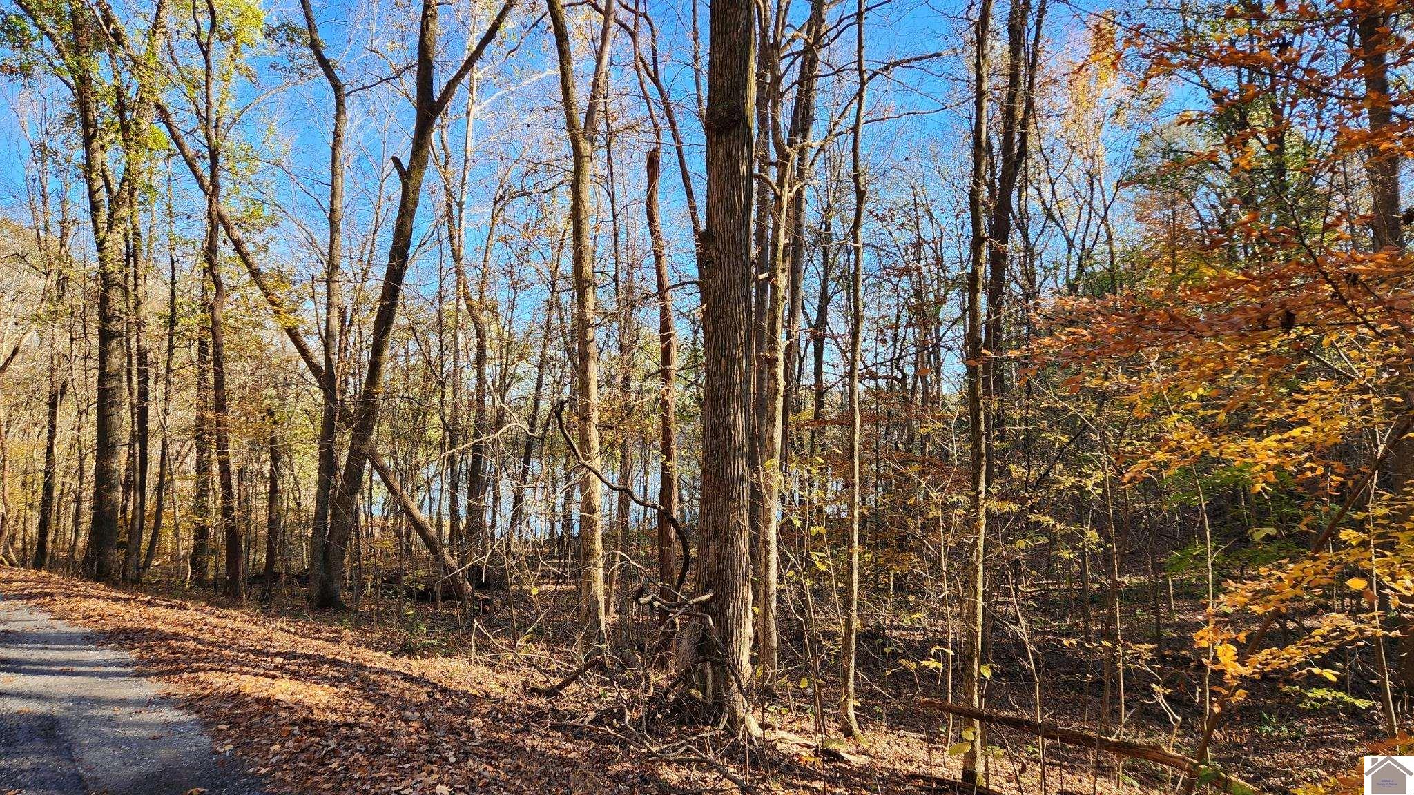 Lot 54b & 55e Commerce Landing Property Photo 3
