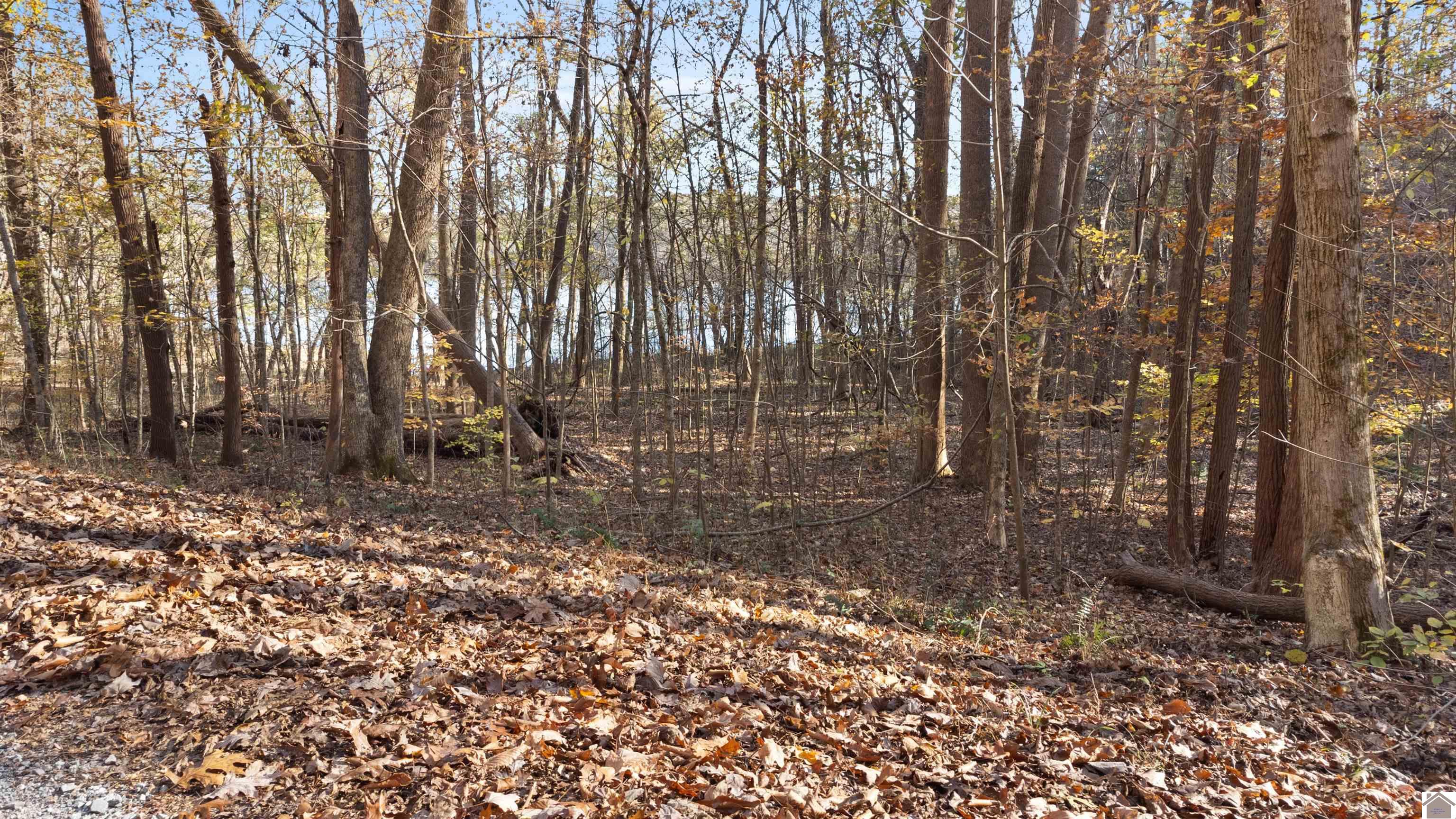 Lot 54b & 55e Commerce Landing Property Photo 4