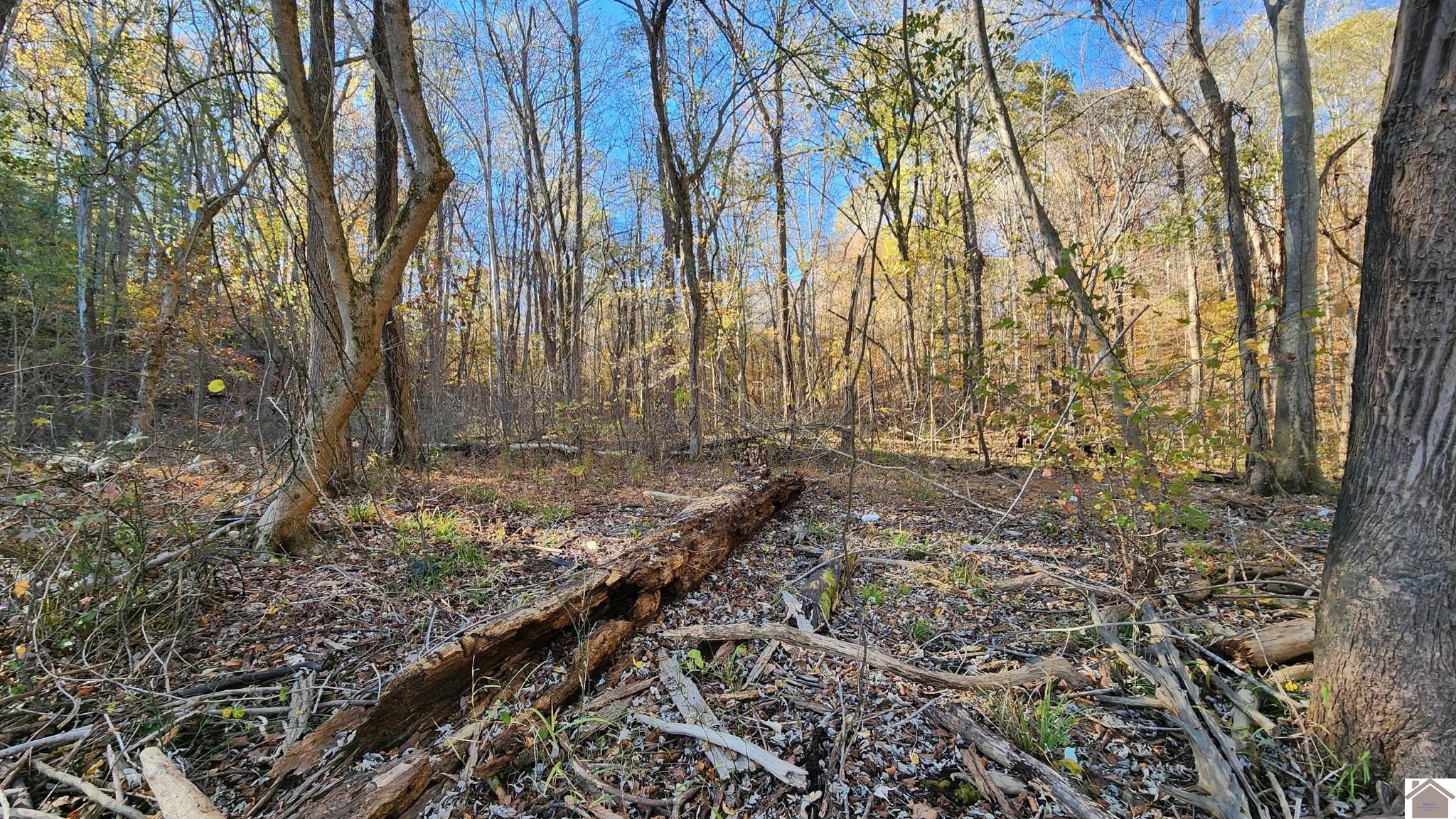Lot 54b & 55e Commerce Landing Property Photo 7