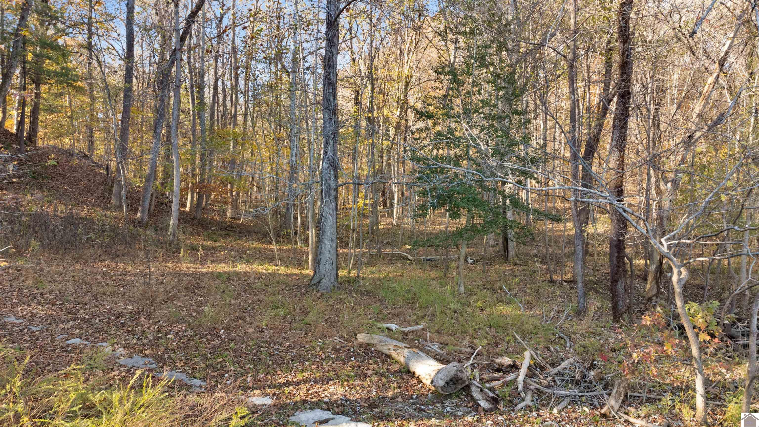 Lot 54b & 55e Commerce Landing Property Photo 8