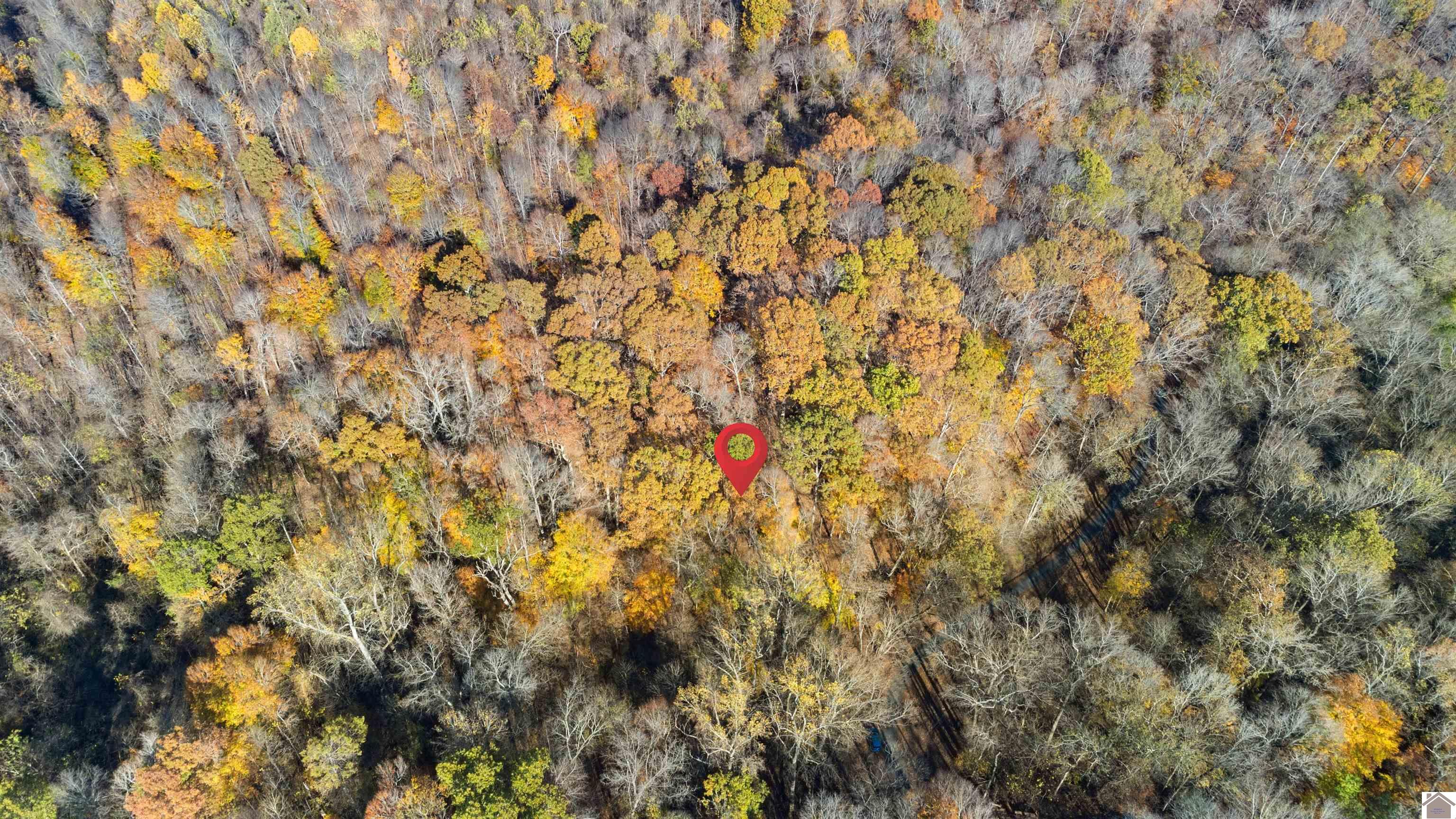 Lot 54b & 55e Commerce Landing Property Photo 12