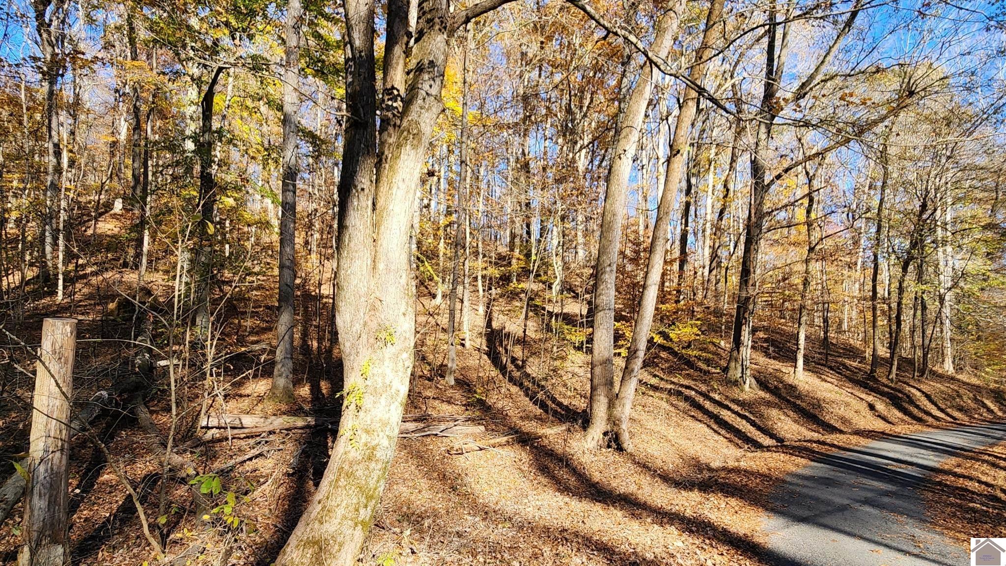 Lot 54b & 55e Commerce Landing Property Photo 17