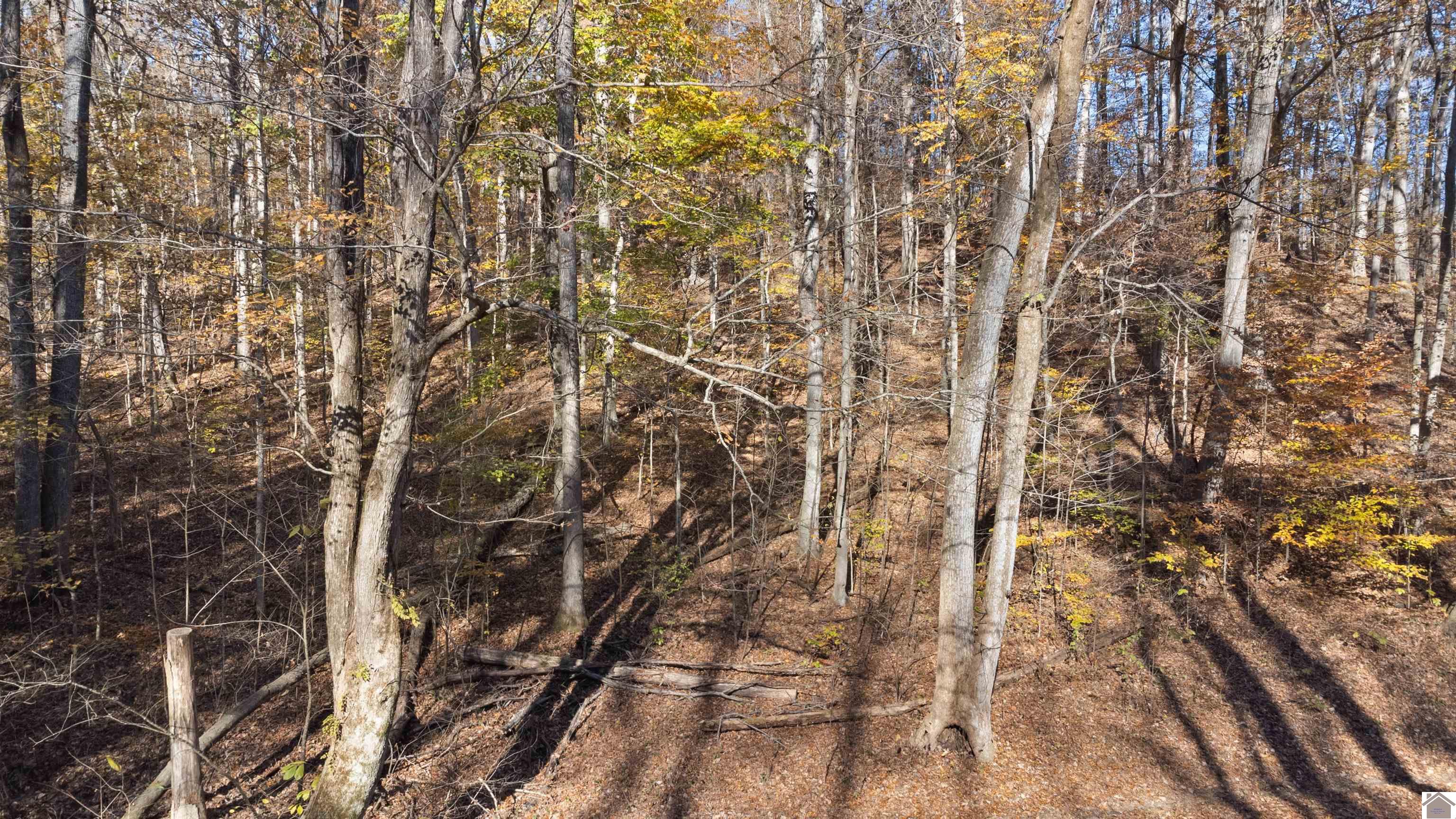 Lot 54b & 55e Commerce Landing Property Photo 18