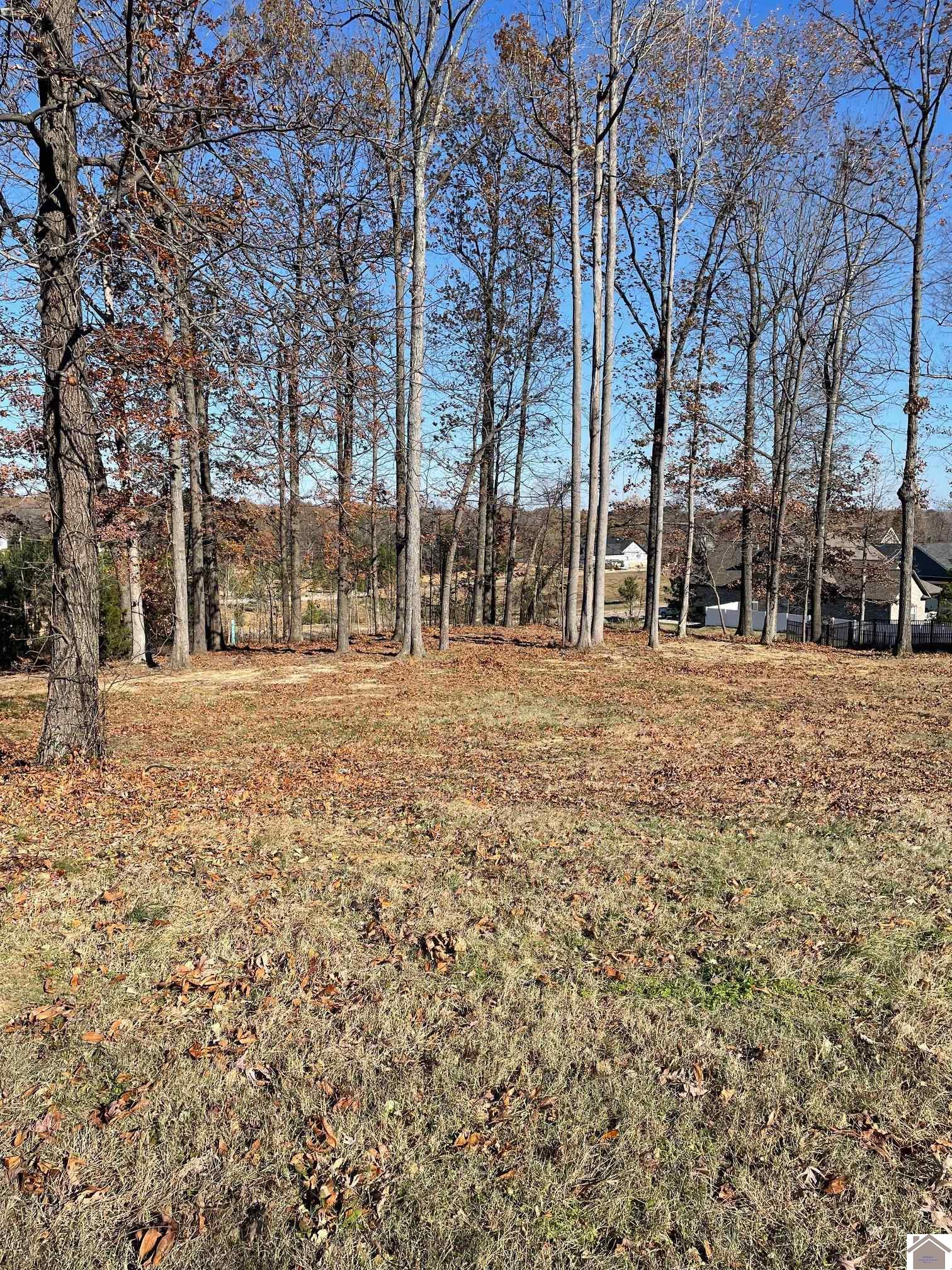 Lot 95 Forest Ridge Drive Property Photo 1