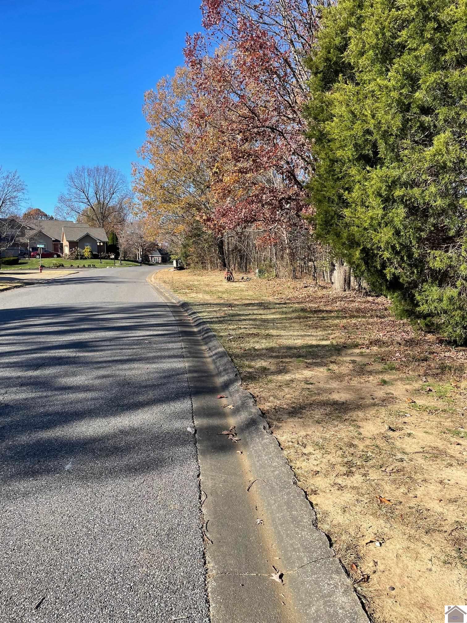 Lot 85 Forest Ridge Drive Property Photo 1
