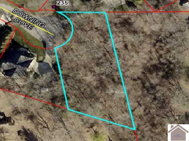 240 Downing Cove Property Photo 1