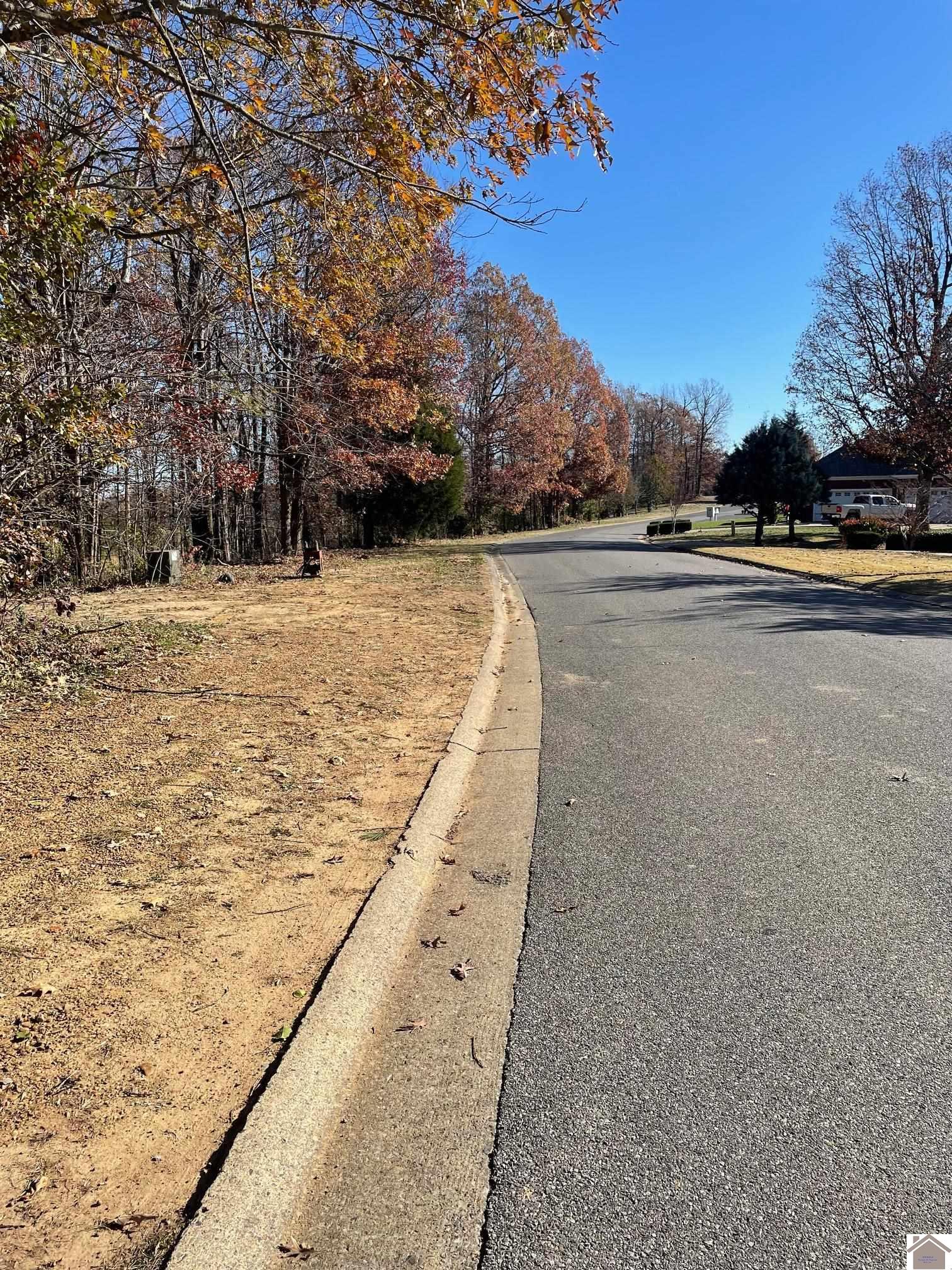 Lot L-81 Forest Ridge Drive Property Photo 1