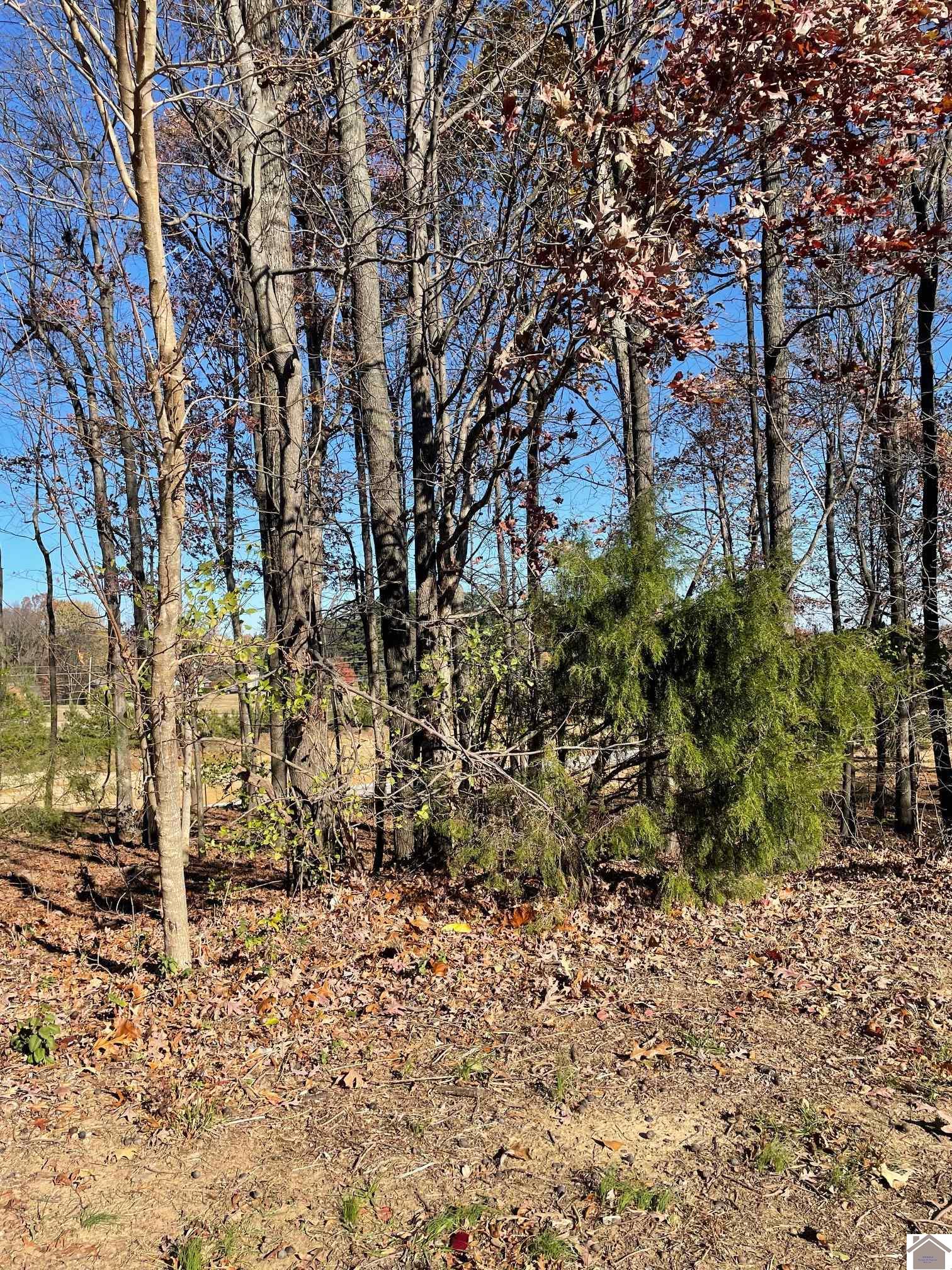 Lot L-82 Forest Ridge Drive Property Photo 1