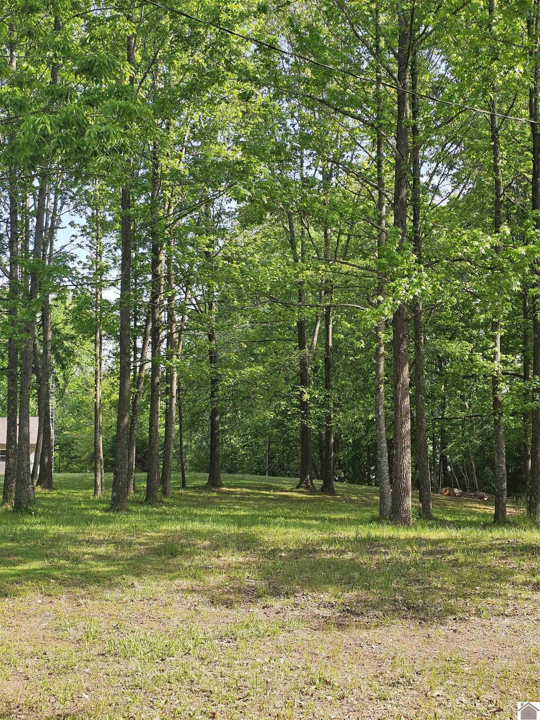 372 Saratoga Heights Property Photo 28