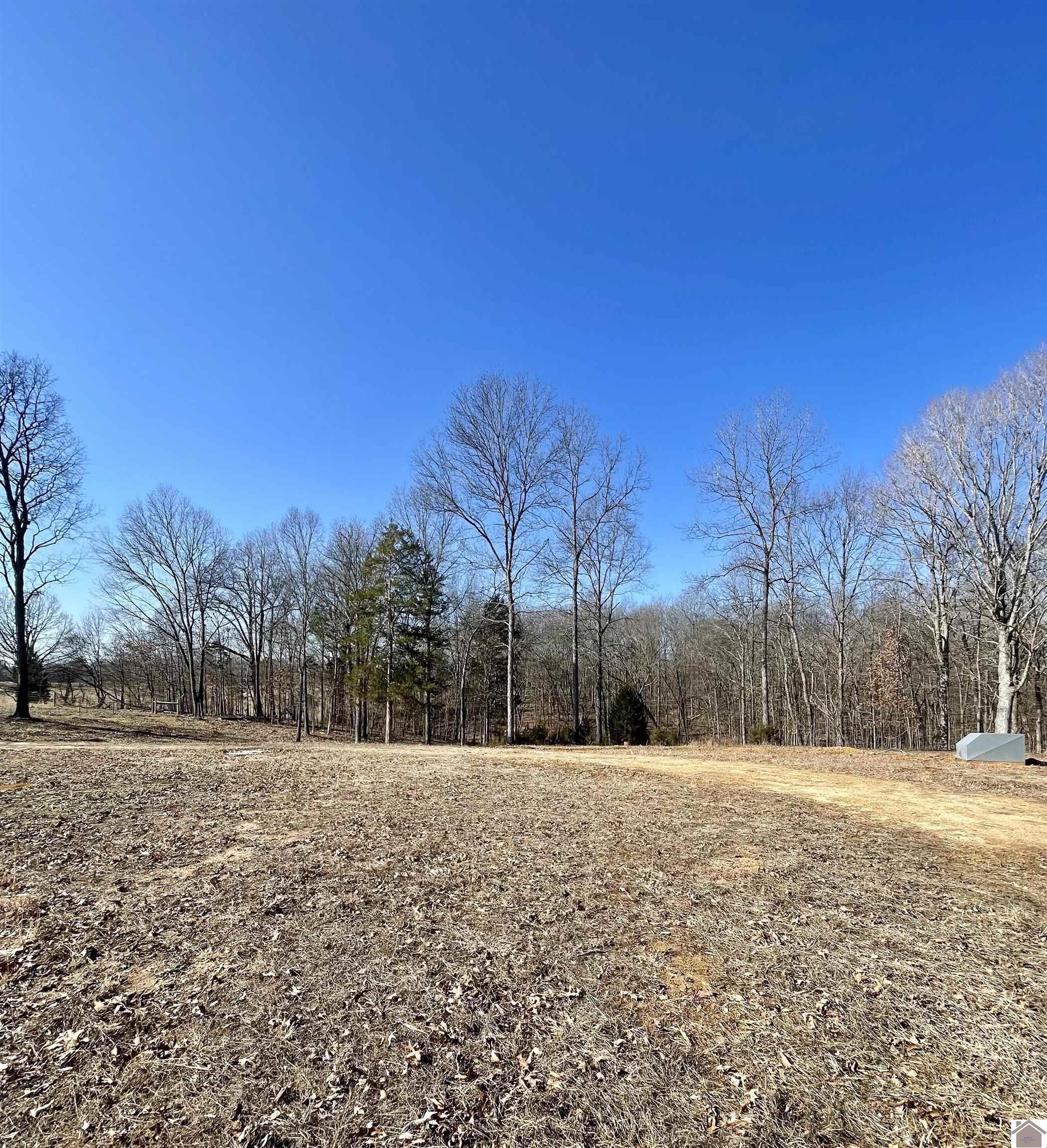 4339 Almo Shiloh Road Property Photo 1
