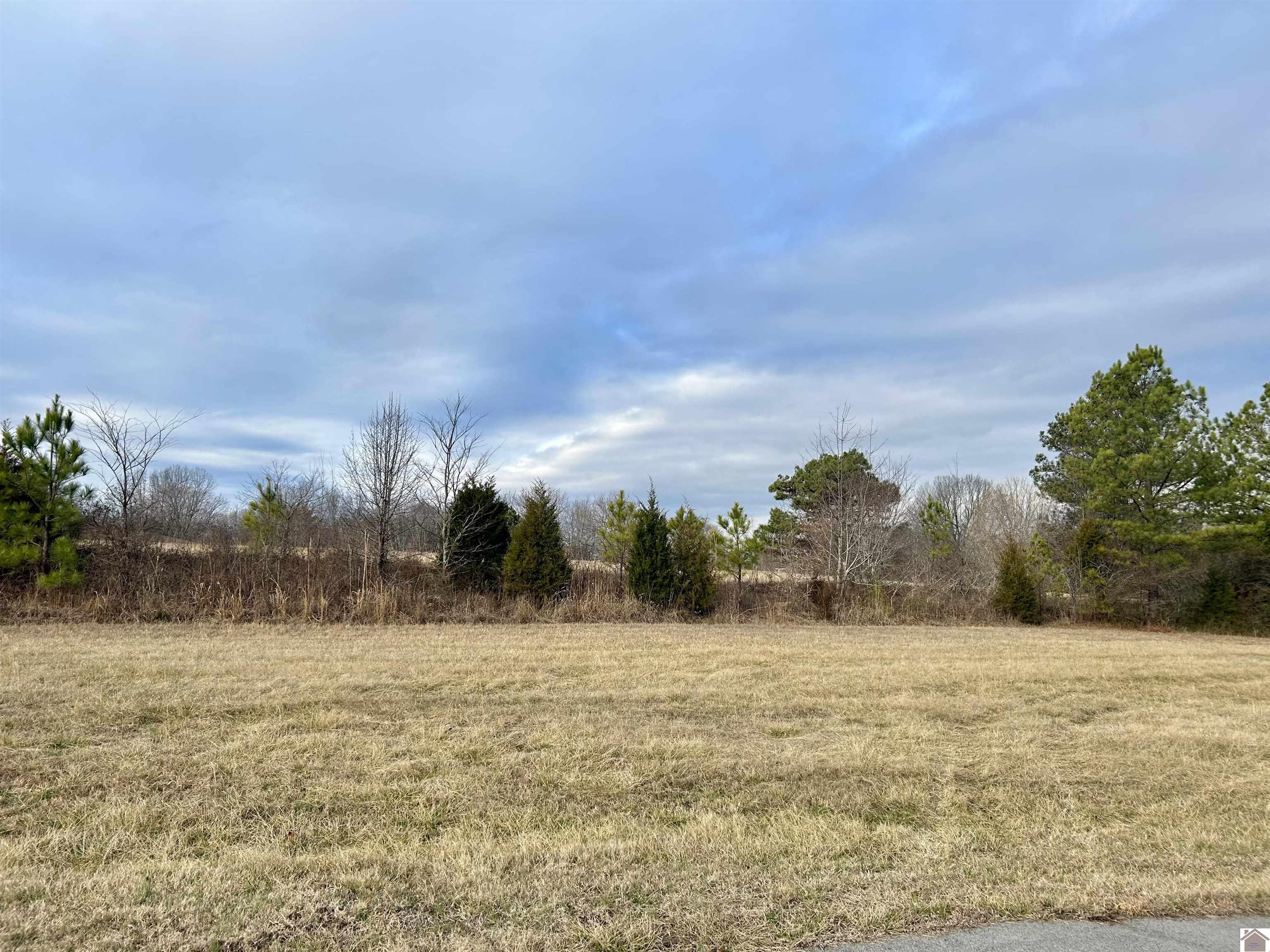 Lot 8 Hill Creek Ln Property Photo 1