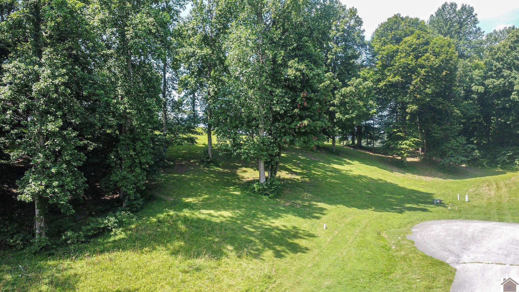 Lot 40 Kuttawa Springs Court Property Photo