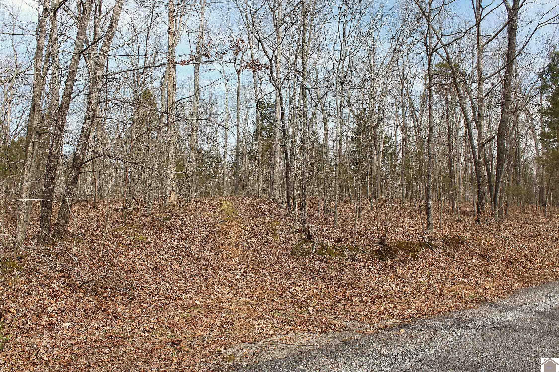 Lots 783 & 784 Unit Iv Smithwood Dev. & Ky Lake Dev. Corps Property Photo