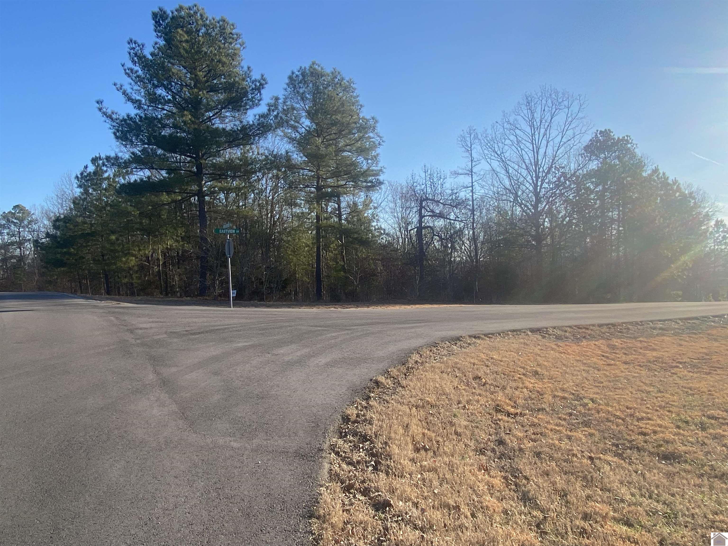 Lot 84 Eastview Lane Property Photo 5