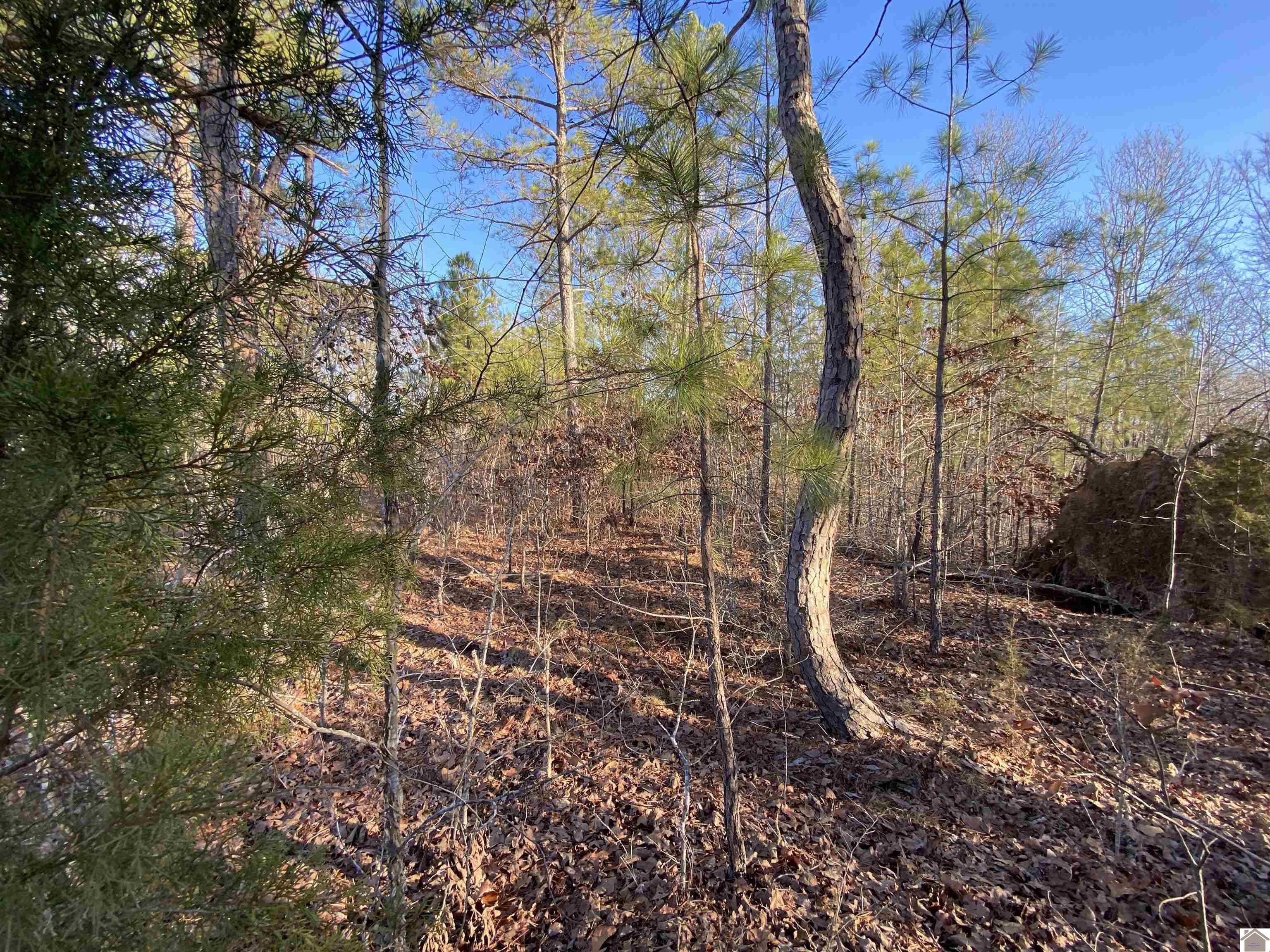 Lot 84 Eastview Lane Property Photo 8