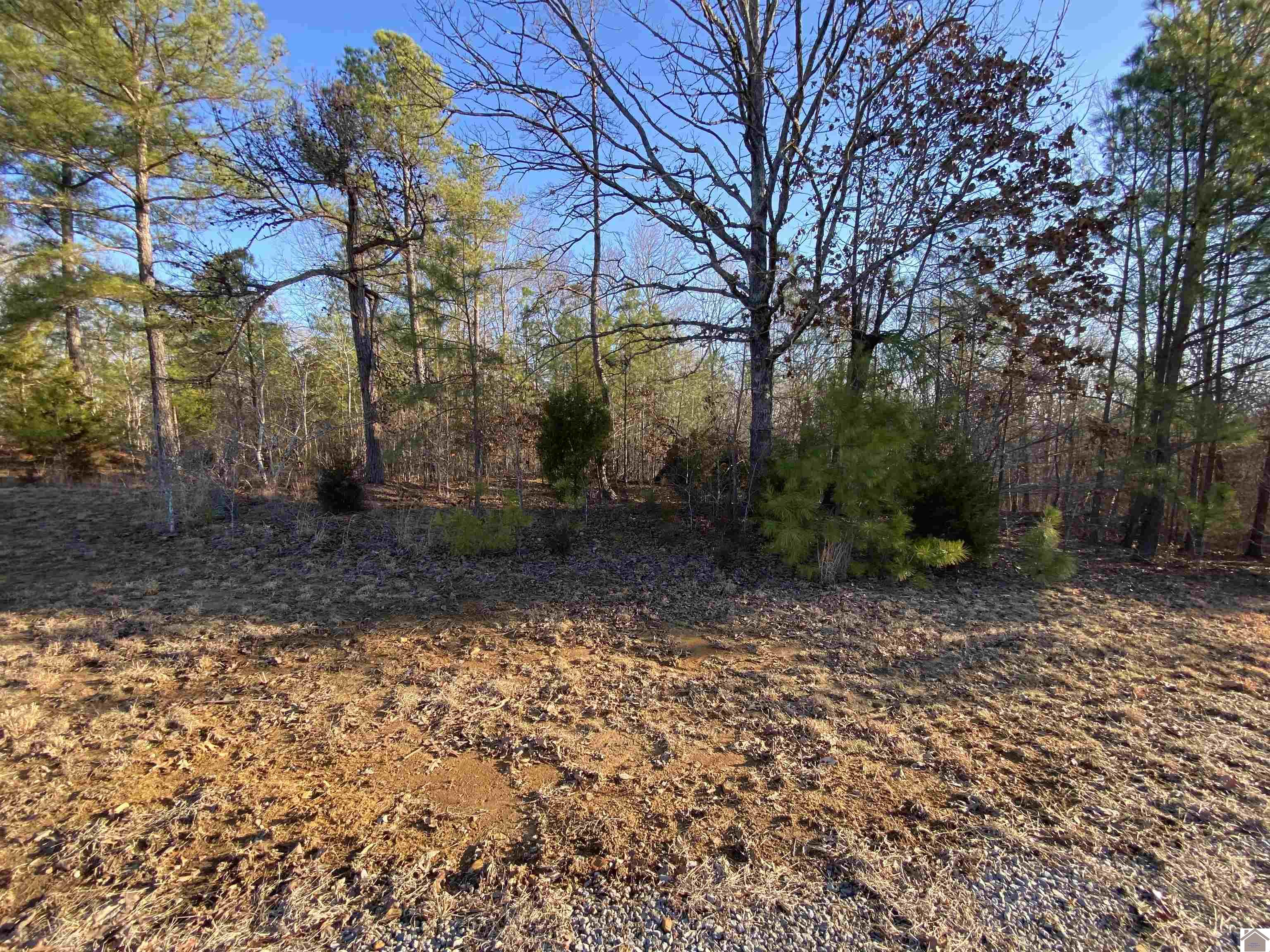 Lot 84 Eastview Lane Property Photo 9