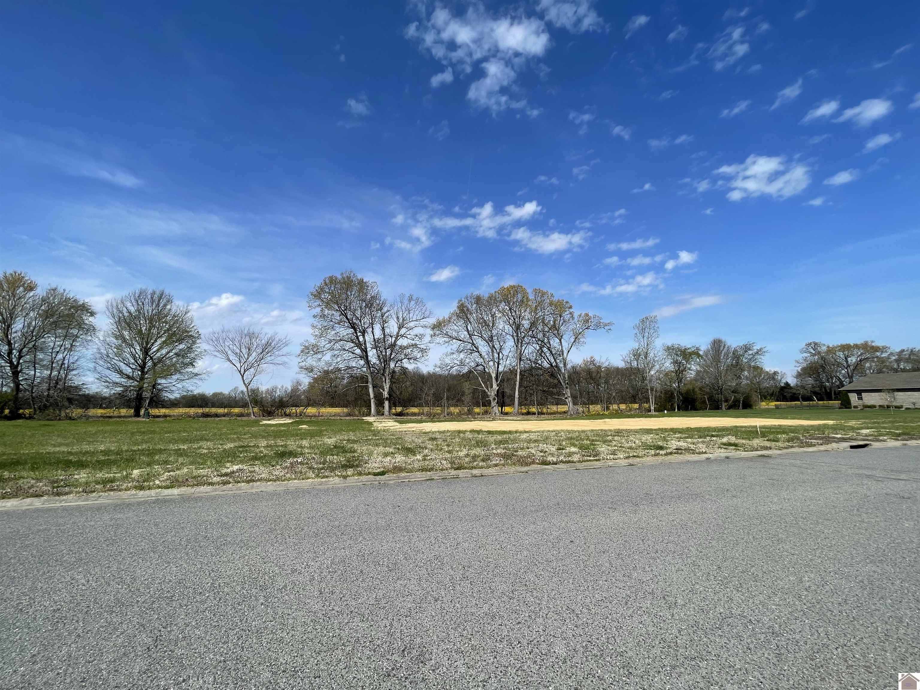 Lot 50 Belle Meade Drive Property Photo 1