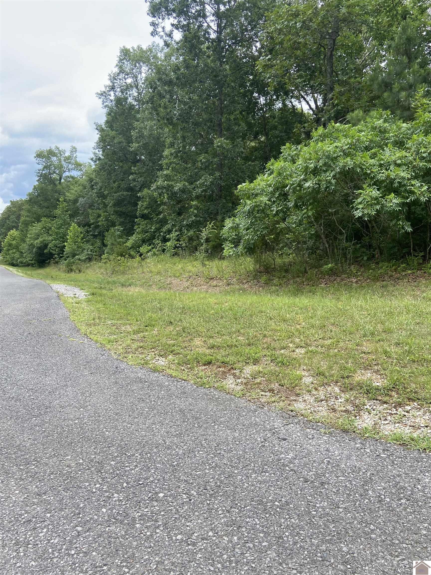Lot 131 Deepwood Drive Property Photo 1