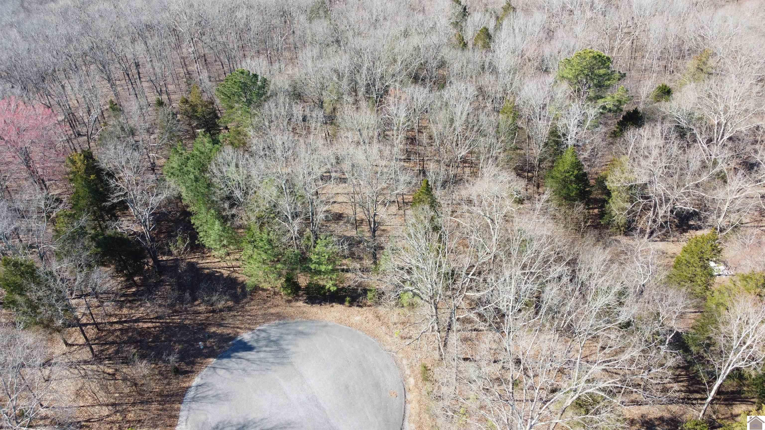 Lot 191 And 192 Lookout Lane Property Photo 1