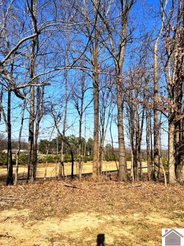 Lot 89 Forest Ridge Dr Property Photo 1