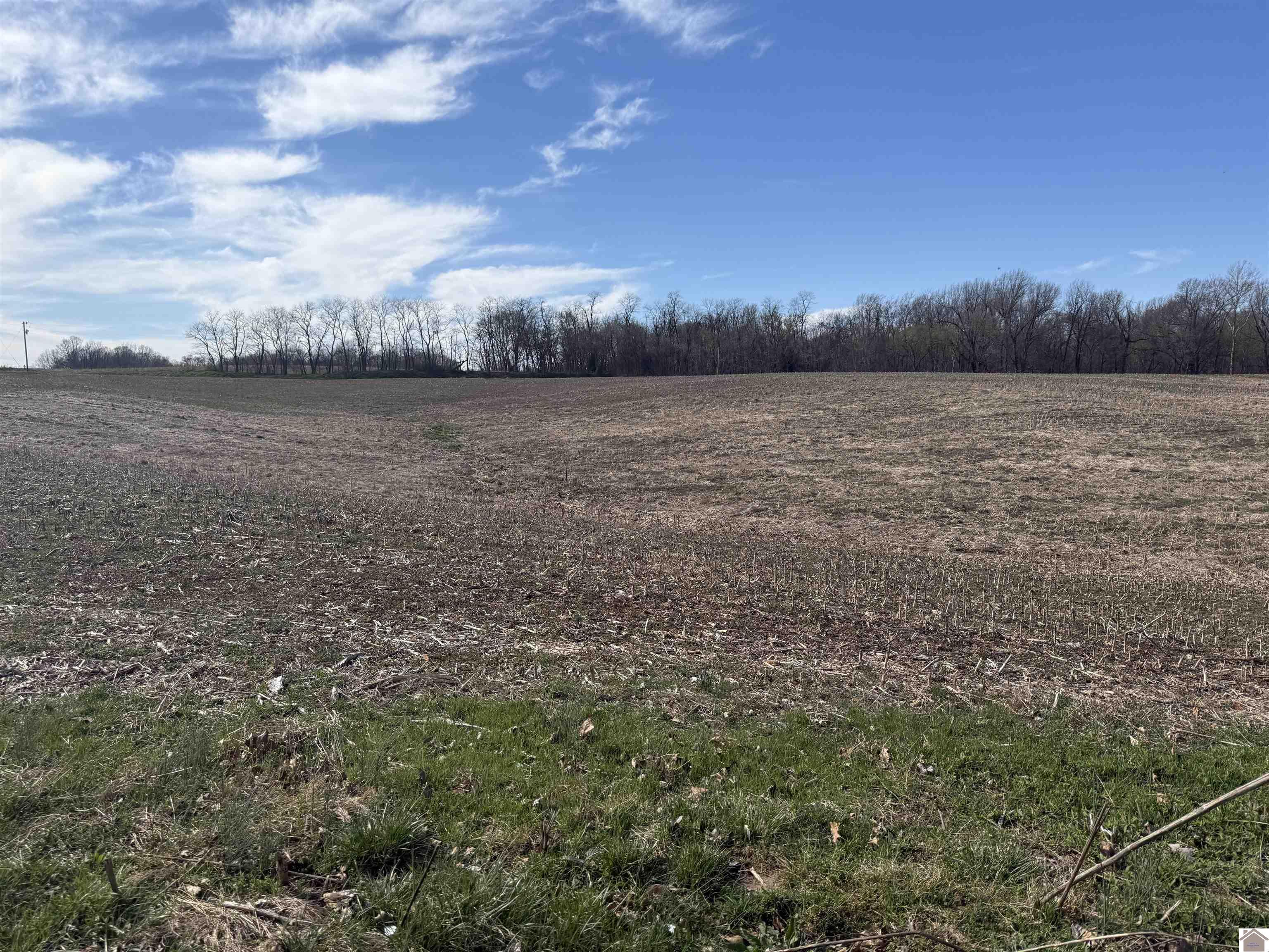 120 County Rd 1003 Property Photo 23