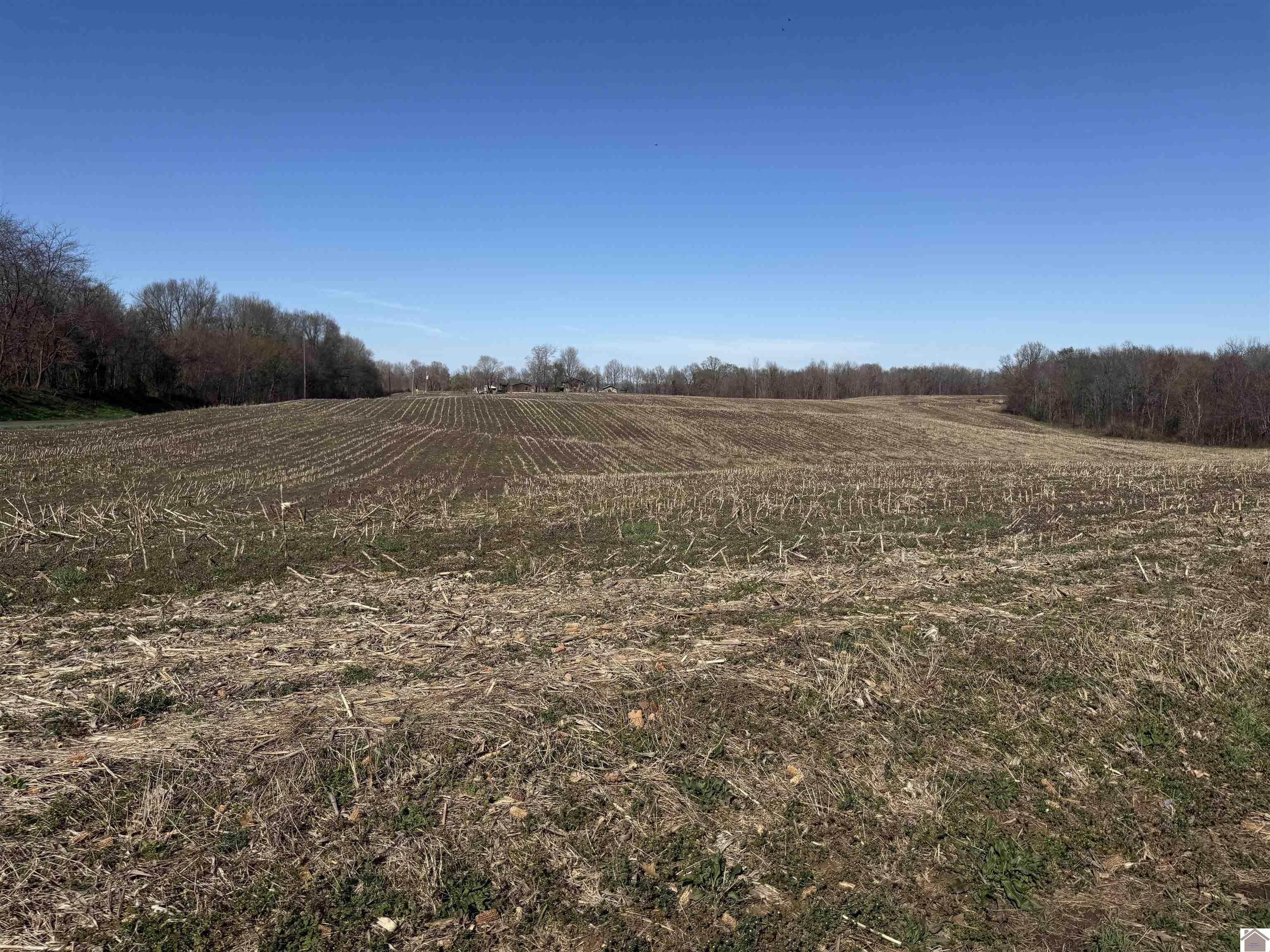 120 County Rd 1003 Property Photo 27