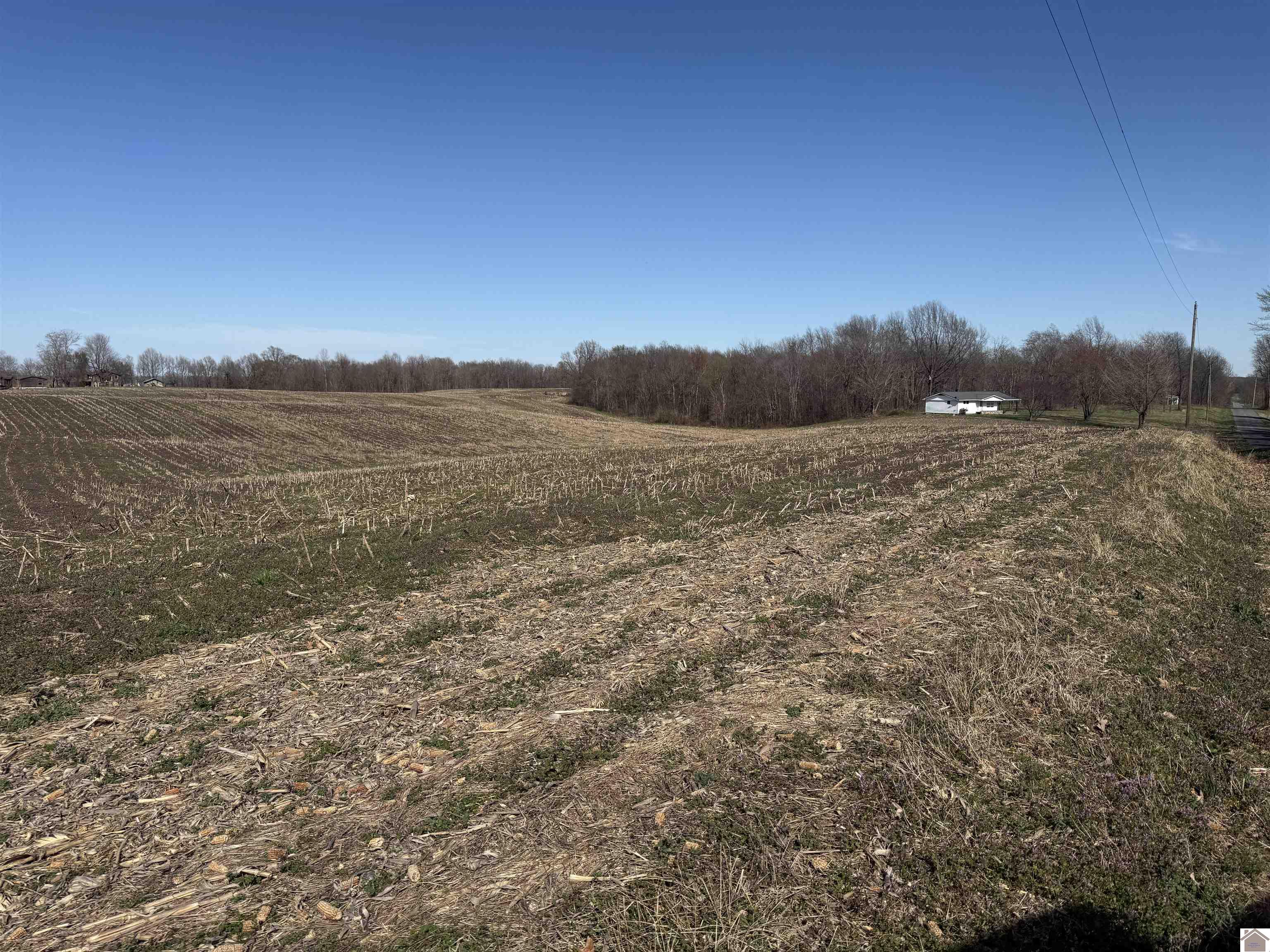 120 County Rd 1003 Property Photo 29