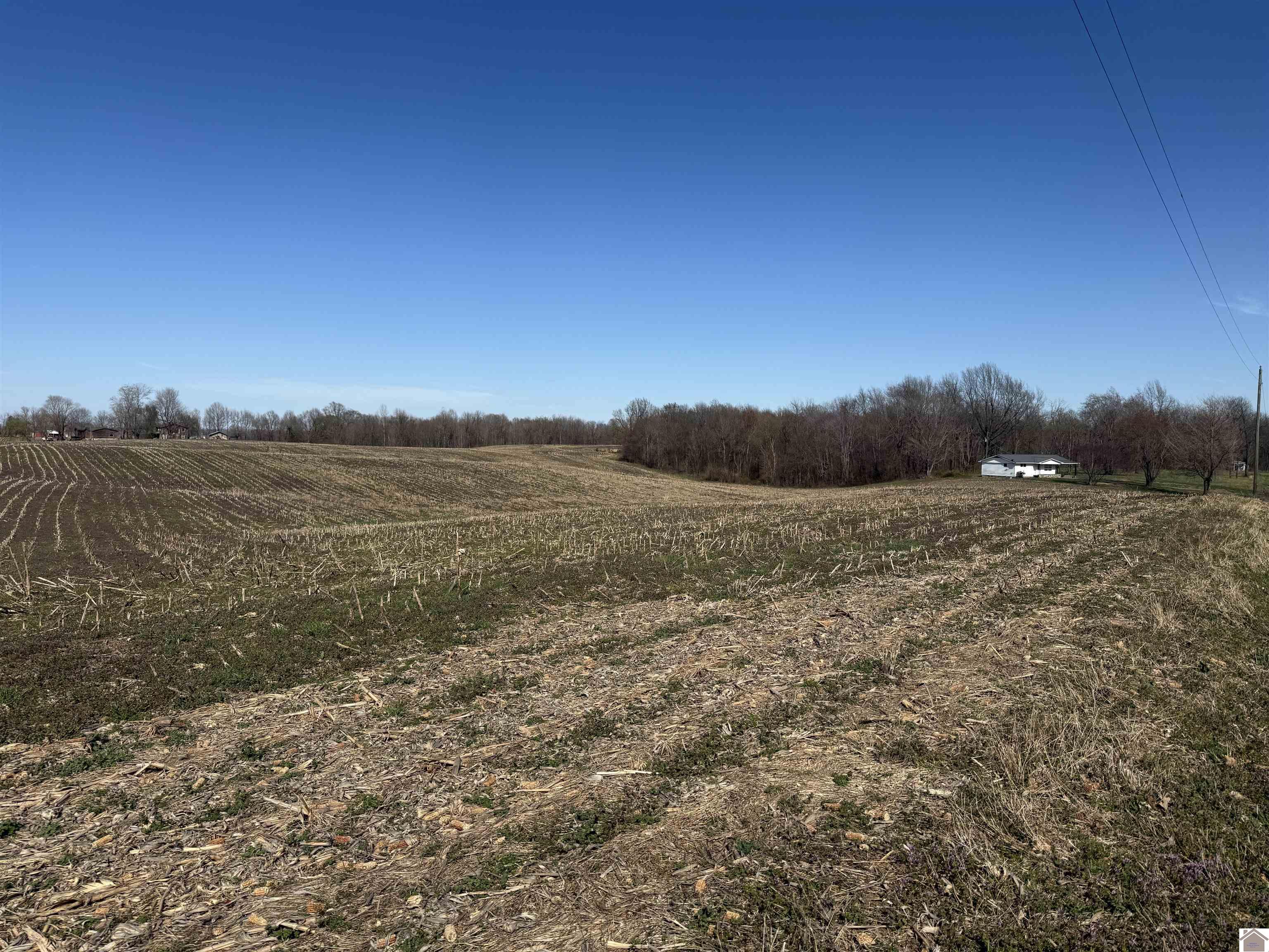 120 County Rd 1003 Property Photo 30