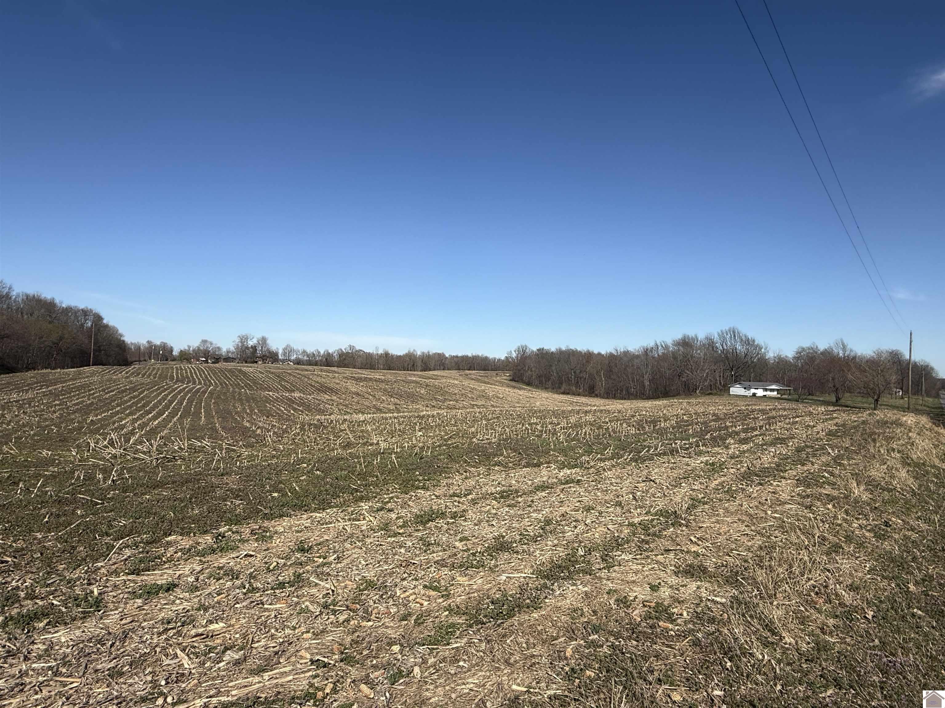 120 County Rd 1003 Property Photo 31