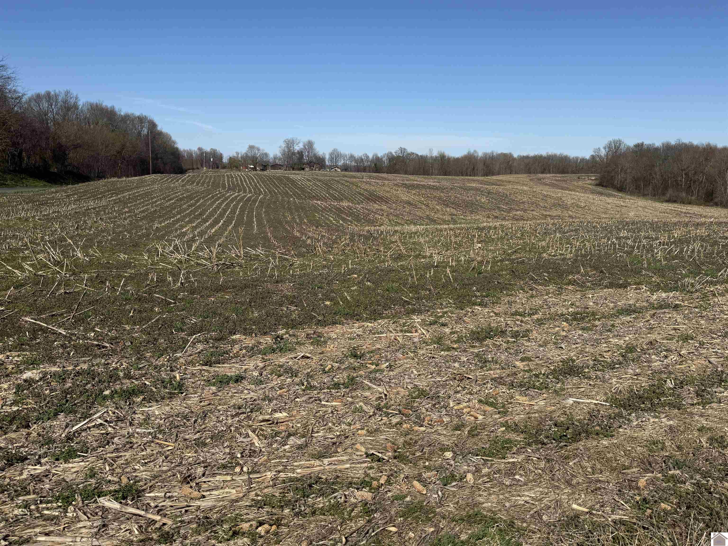 120 County Rd 1003 Property Photo 32