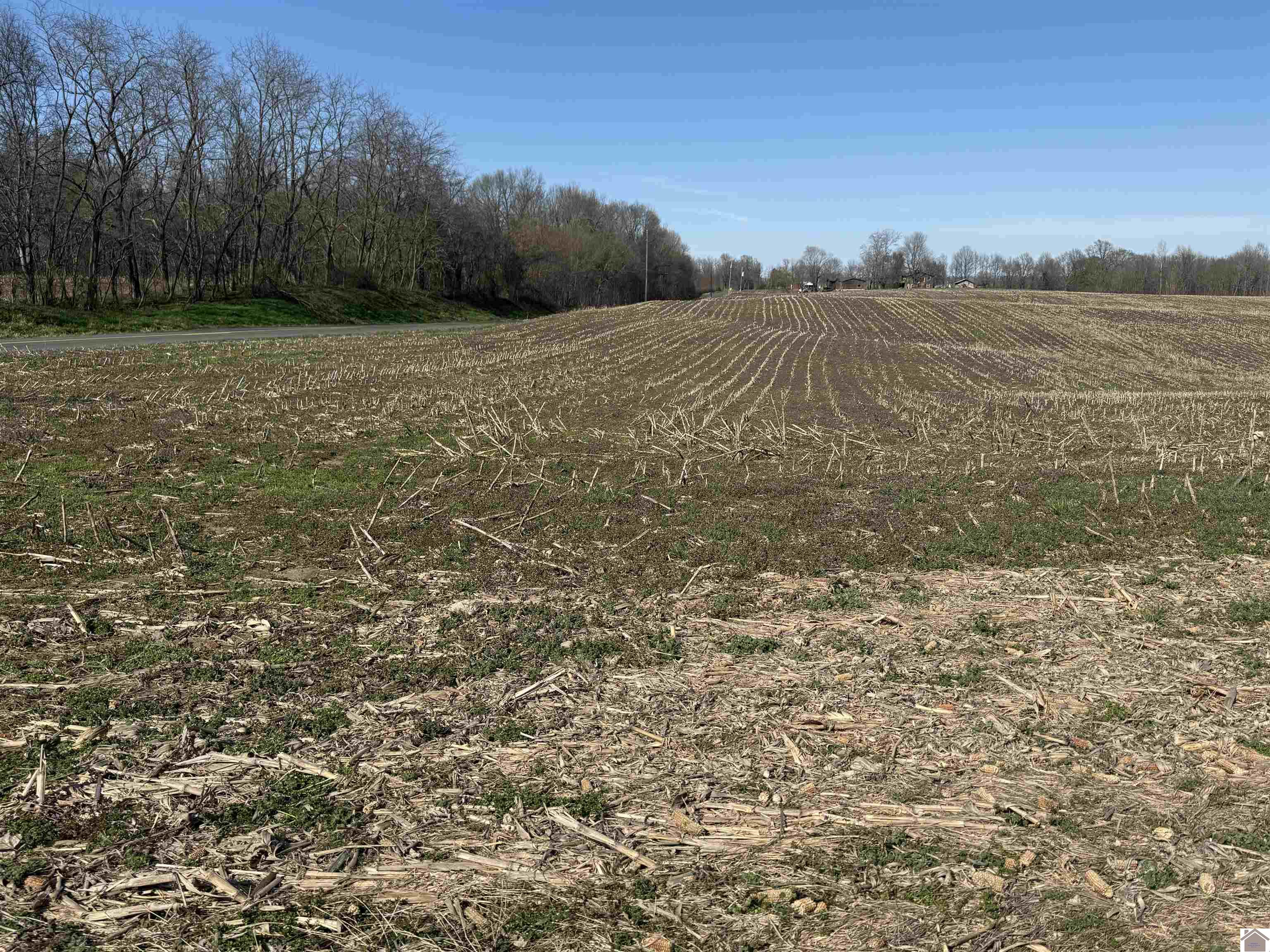 120 County Rd 1003 Property Photo 33