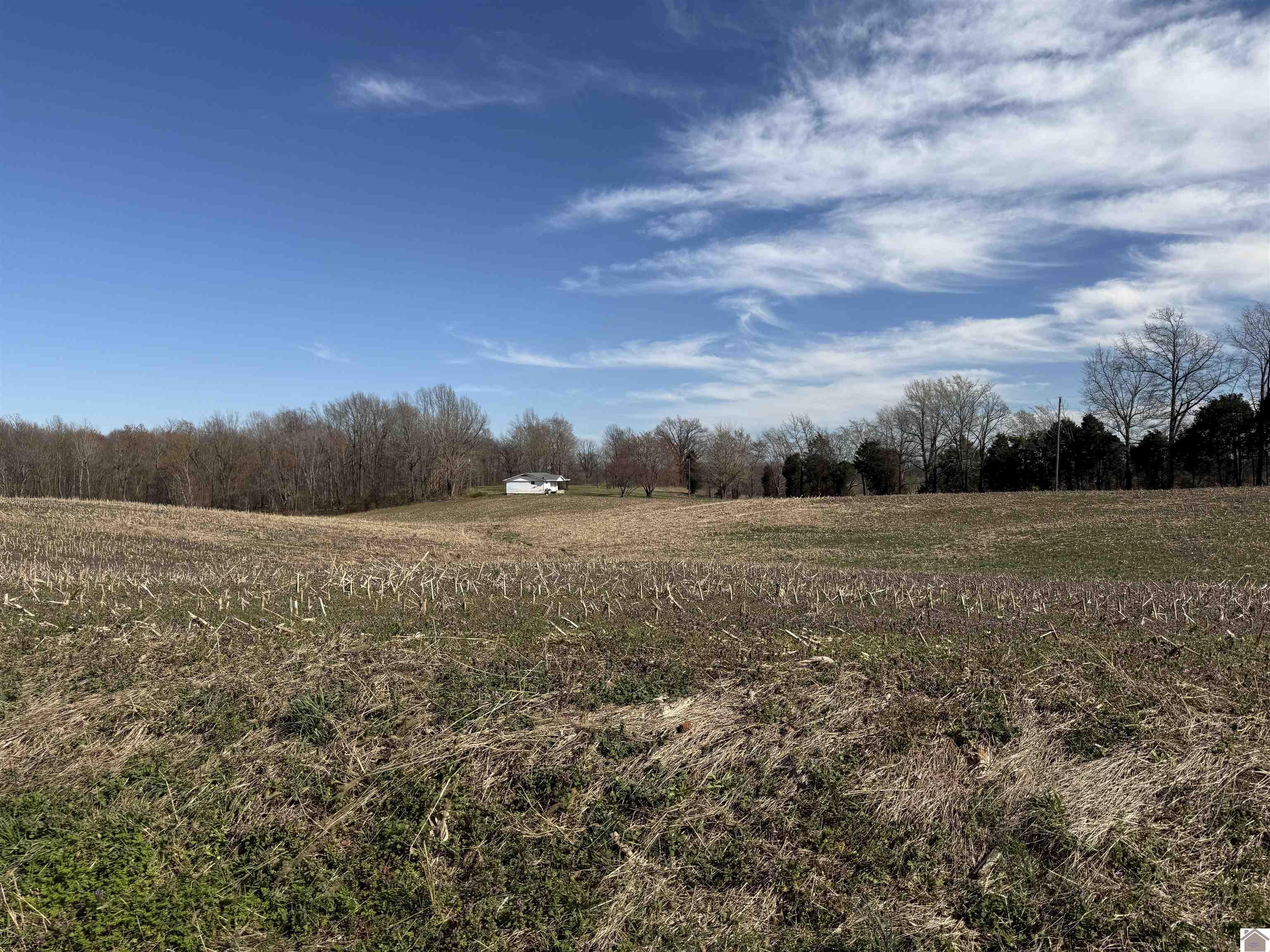 120 County Rd 1003 Property Photo 34