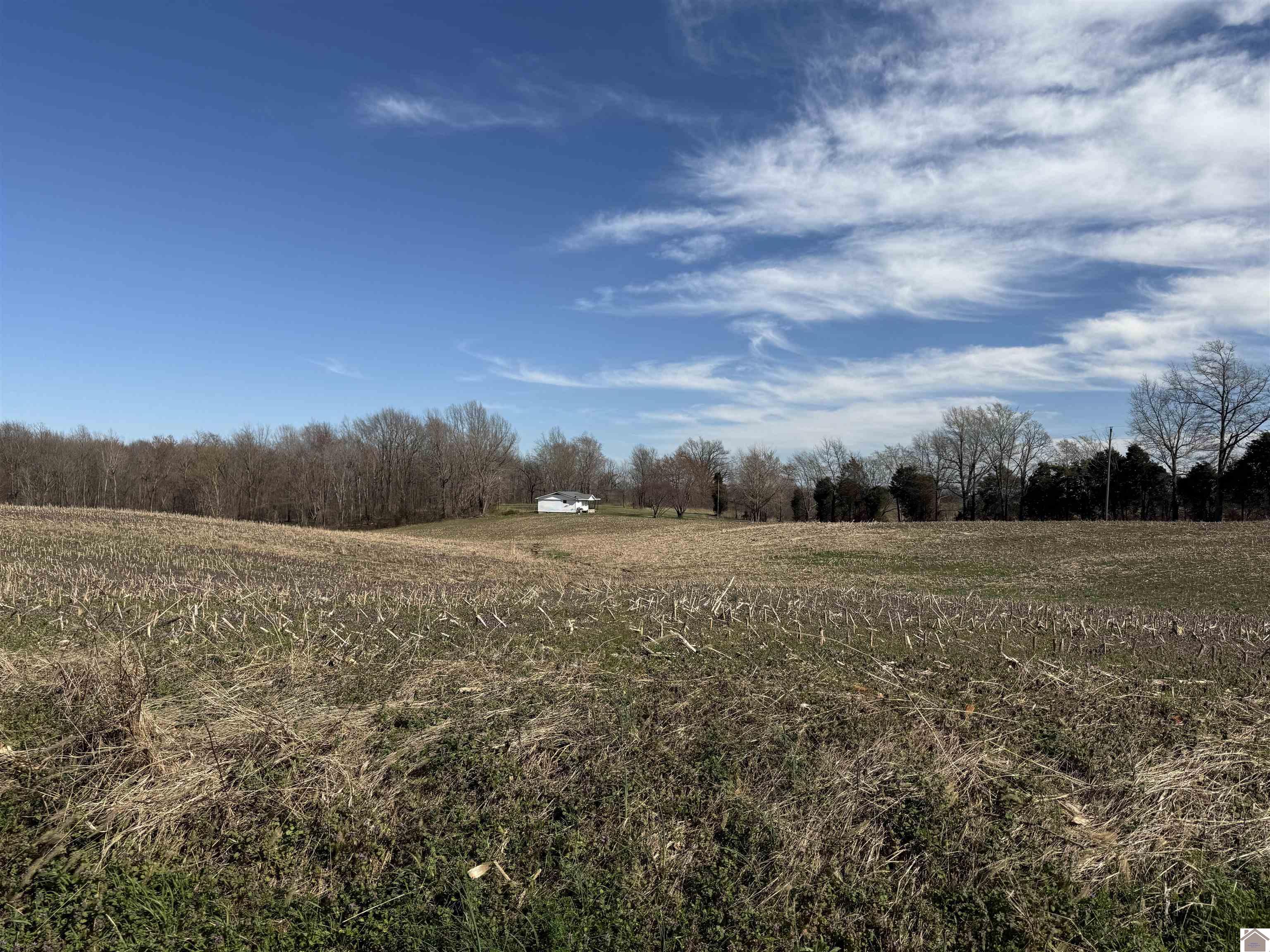 120 County Rd 1003 Property Photo 35