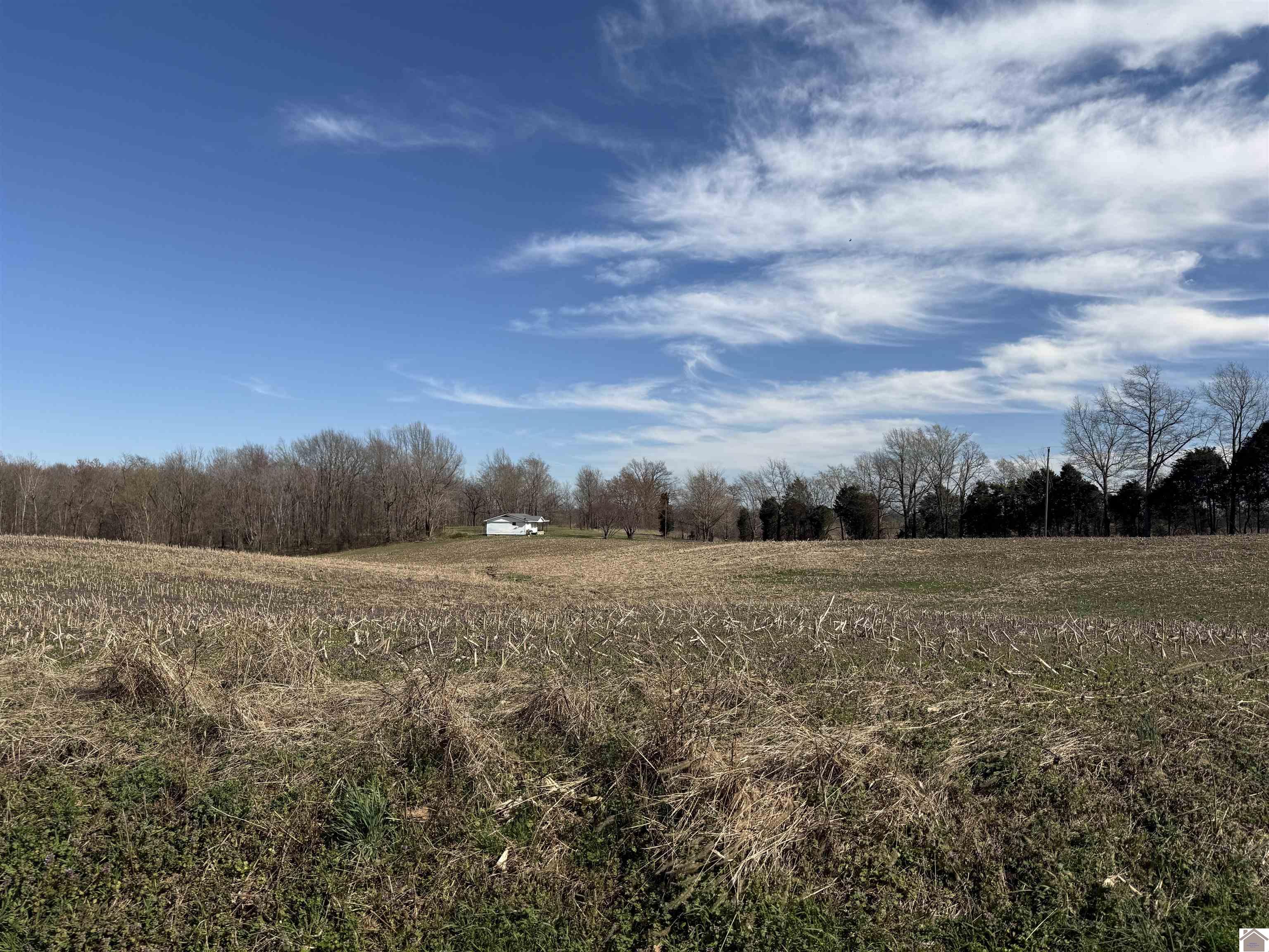 120 County Rd 1003 Property Photo 36