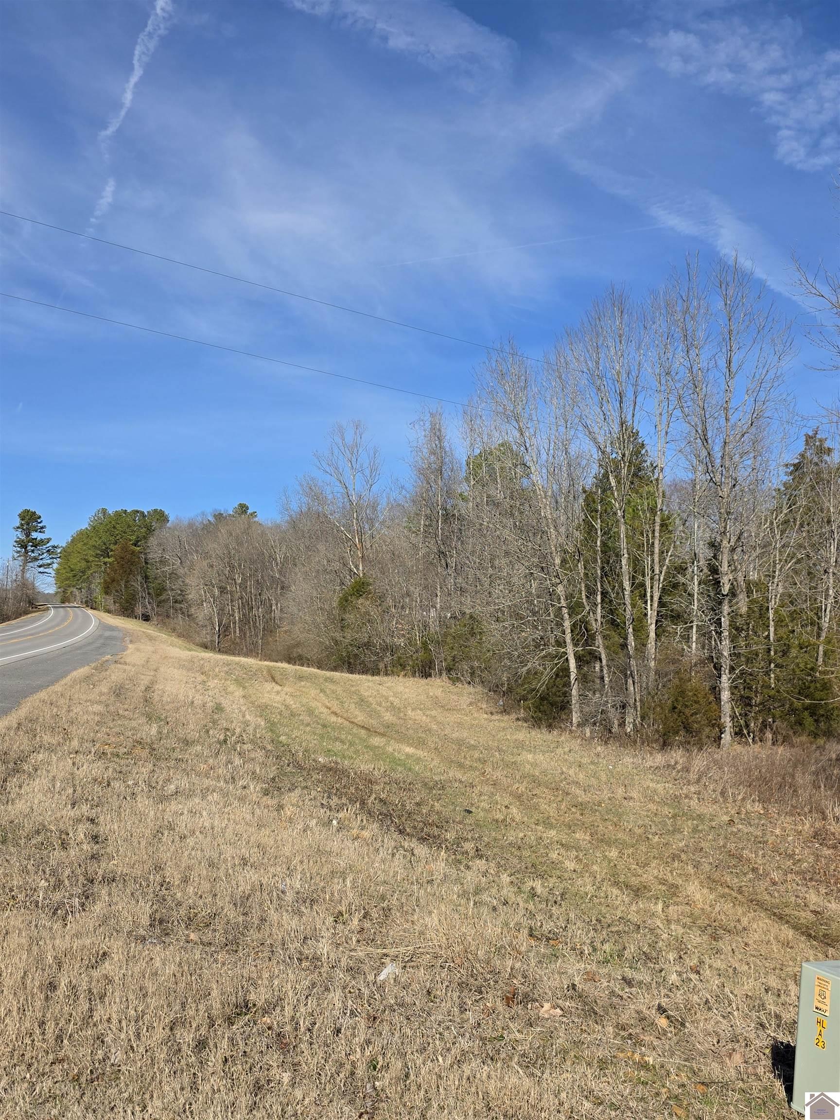 223 Tinsley Drive Property Photo 12
