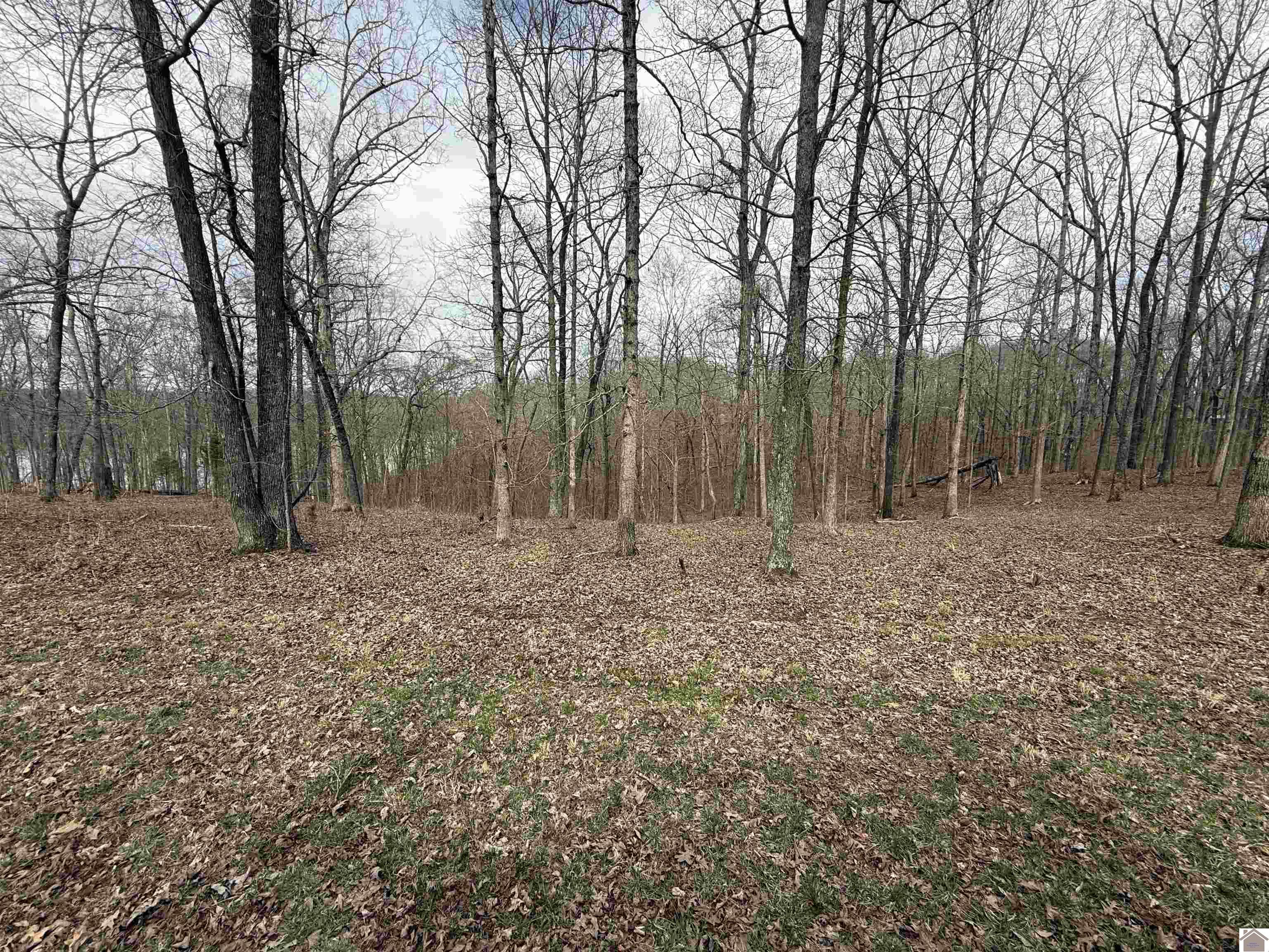 Lot #15 Waterfowl Lane Property Photo 1